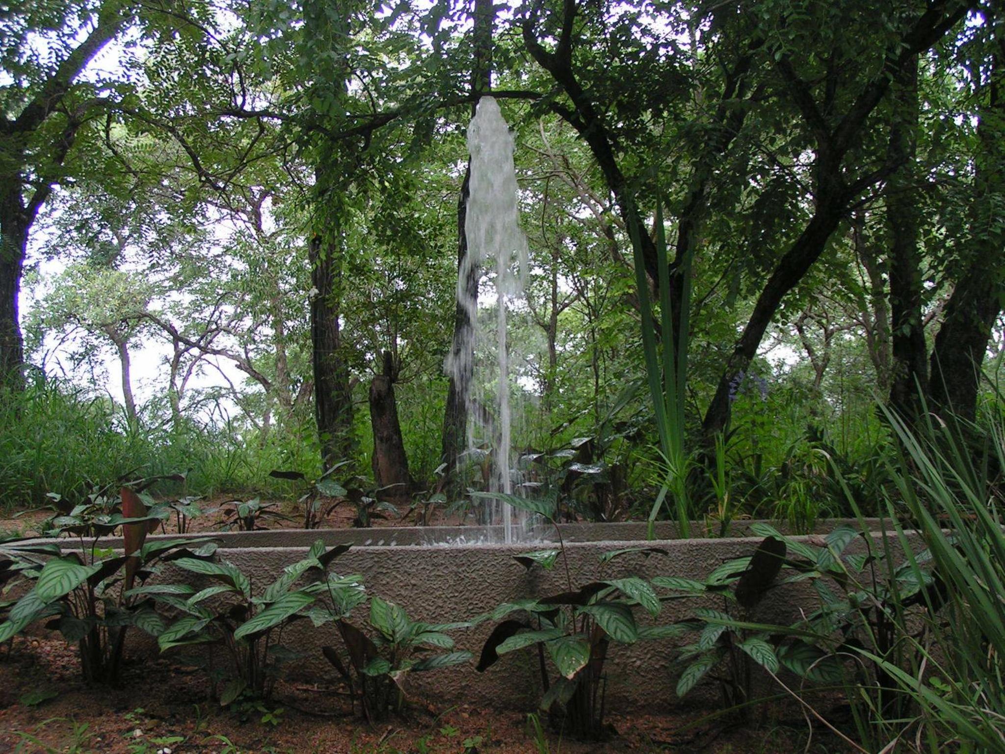 Photo 43