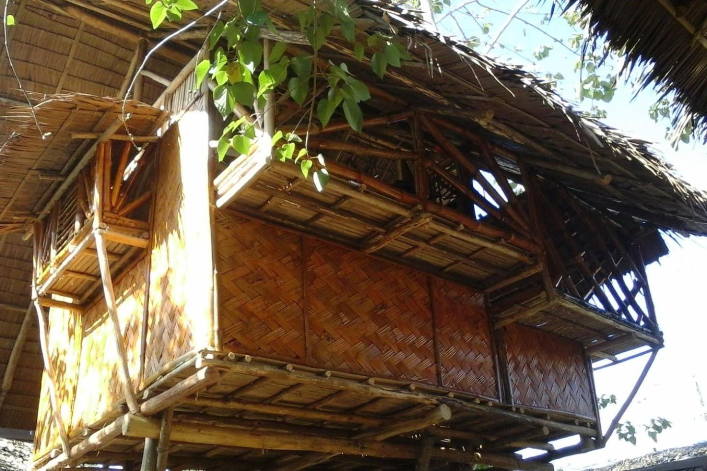 Photo 25