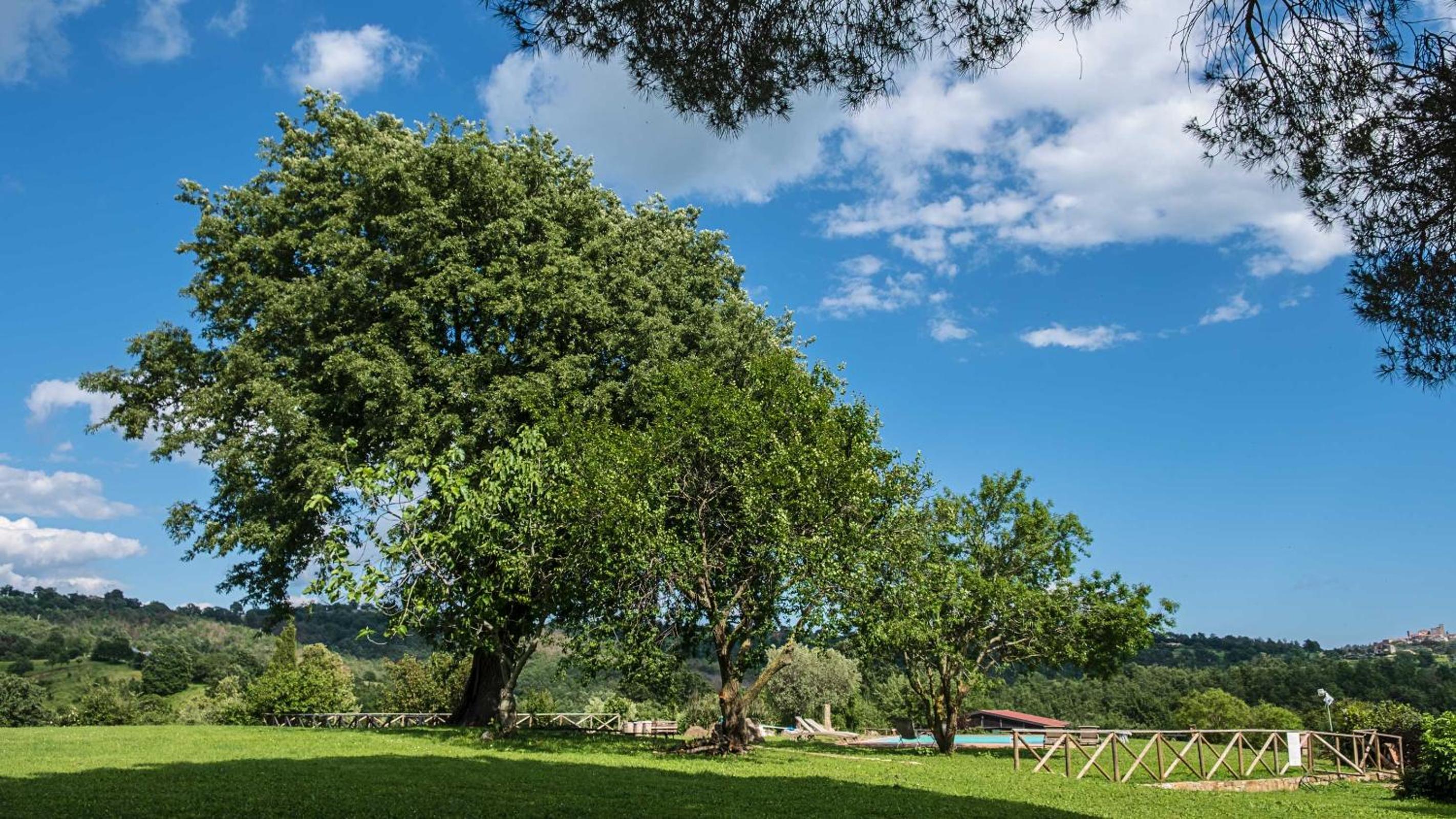 Agriturismo Bio Le Macchie Alte photo 5