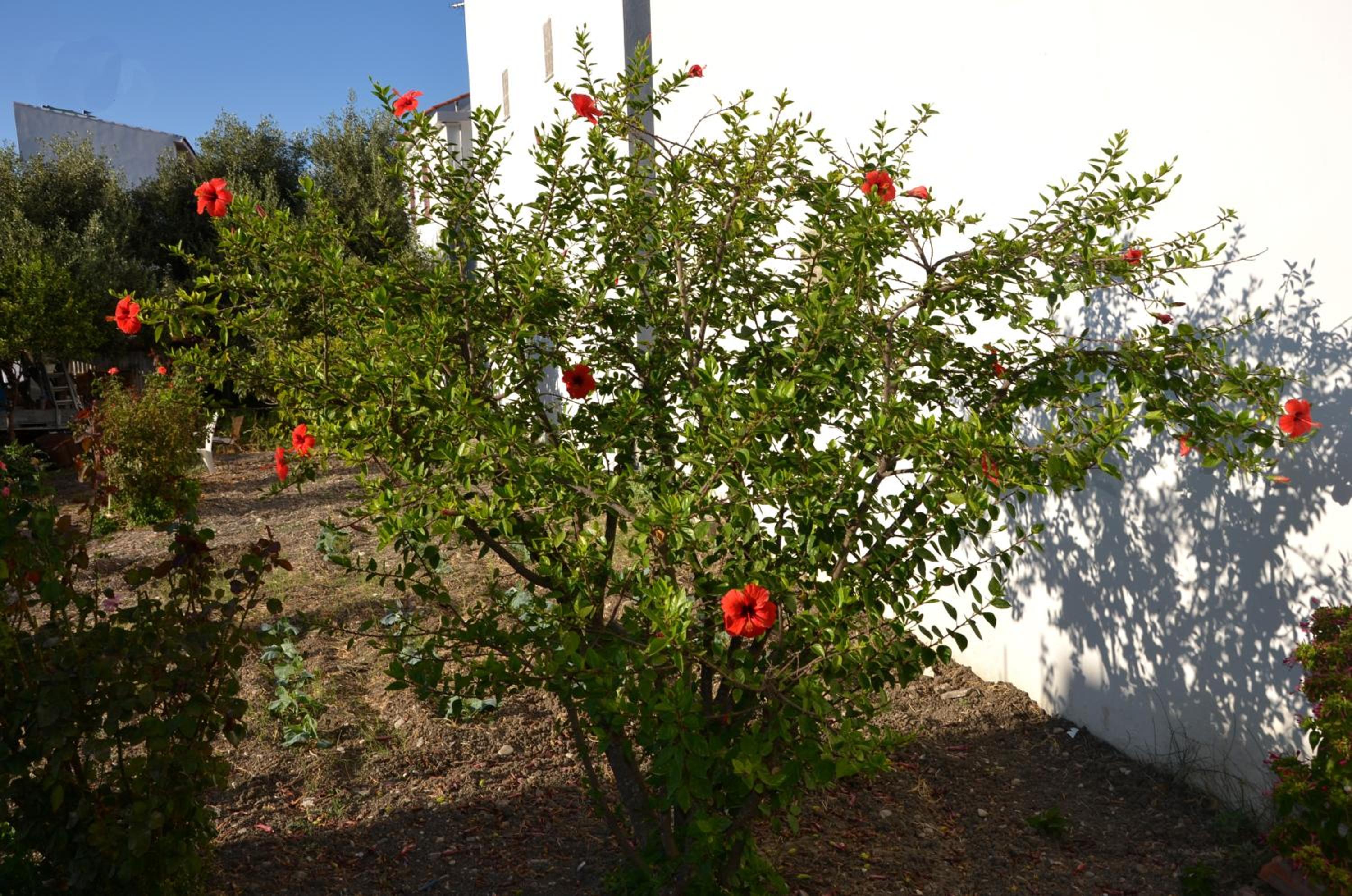 Photo 27
