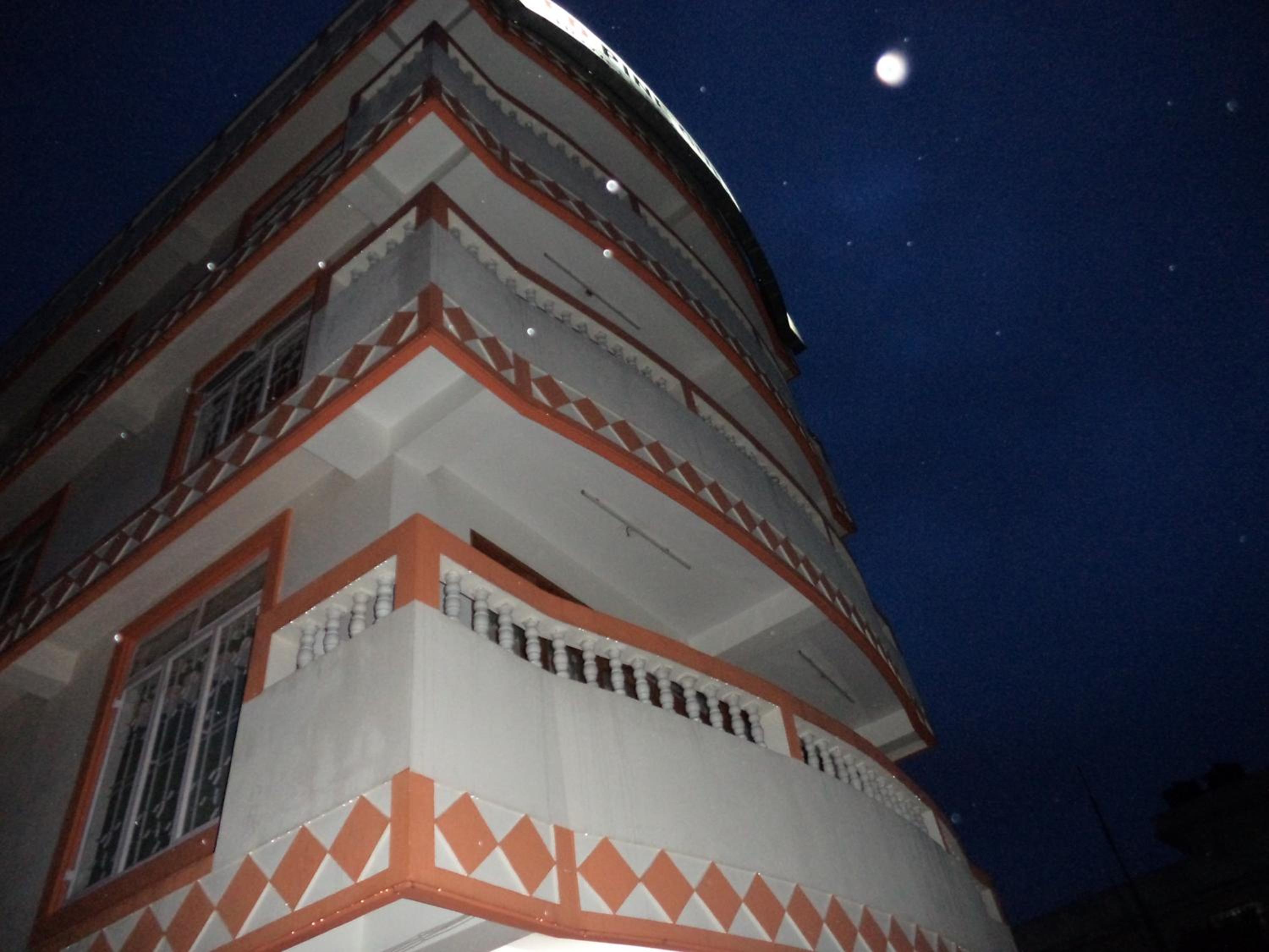 Red Pine Guest House (Indians Only) view 3