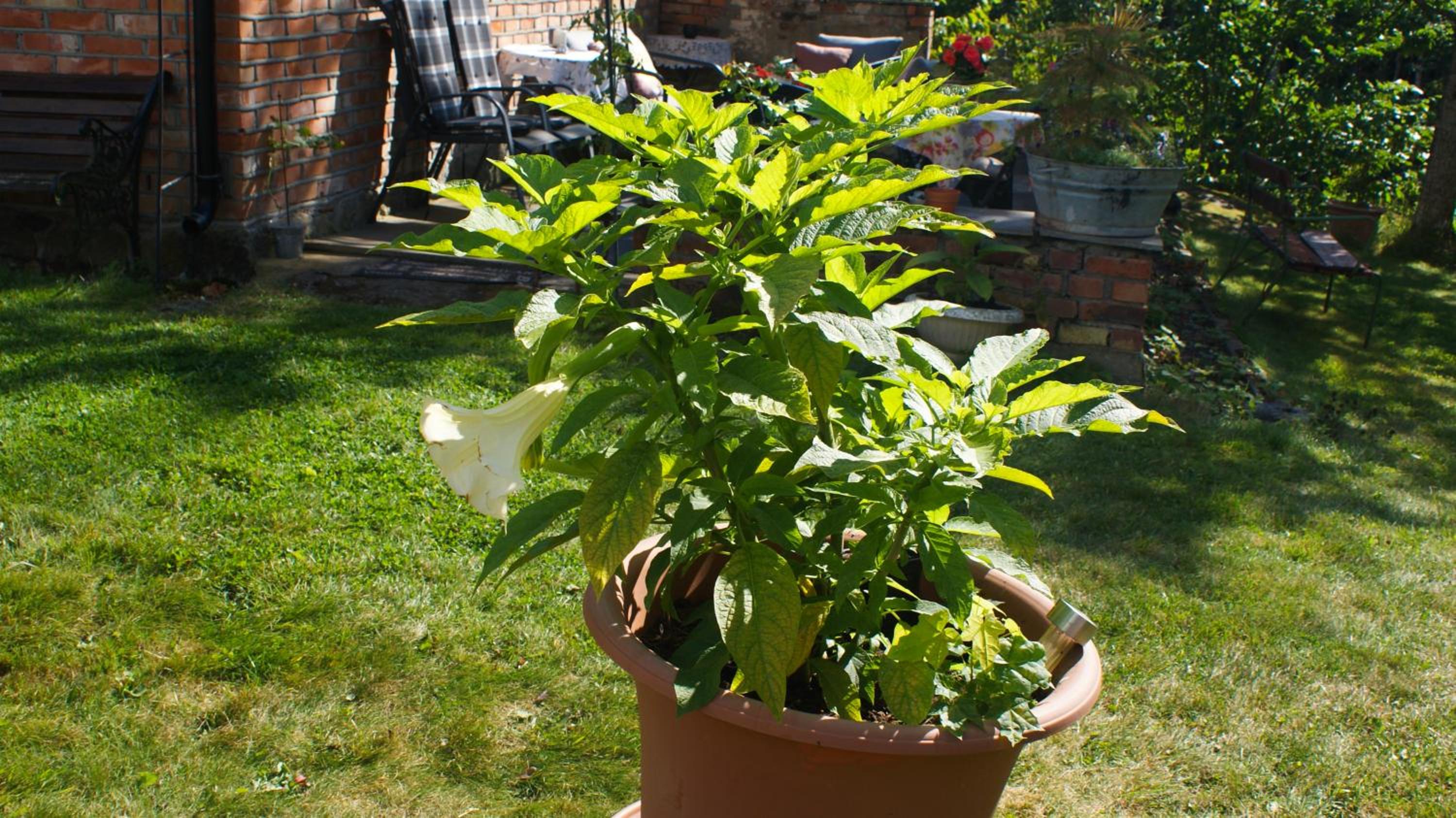 Photo 19