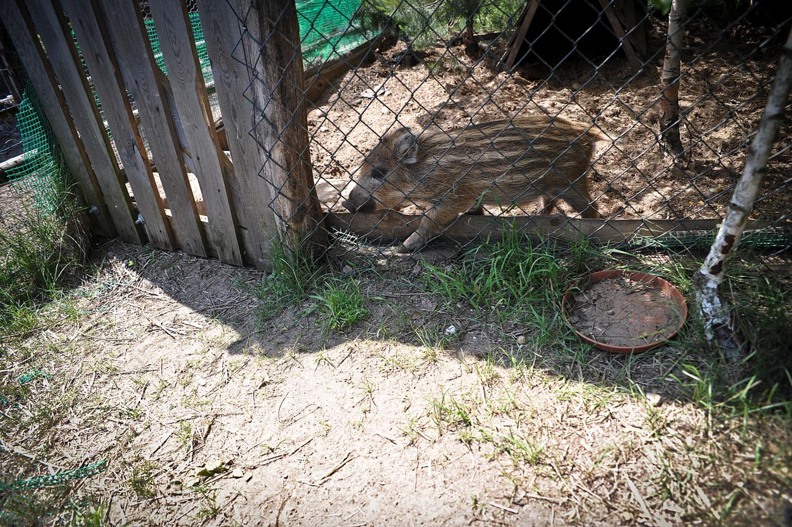 Photo 19