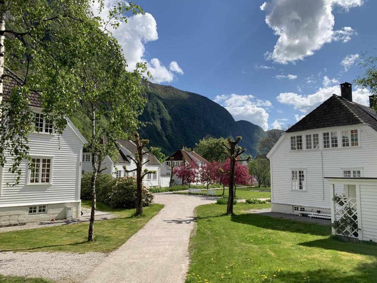 Photo 38