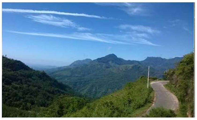 Dew Drop Resort view 2