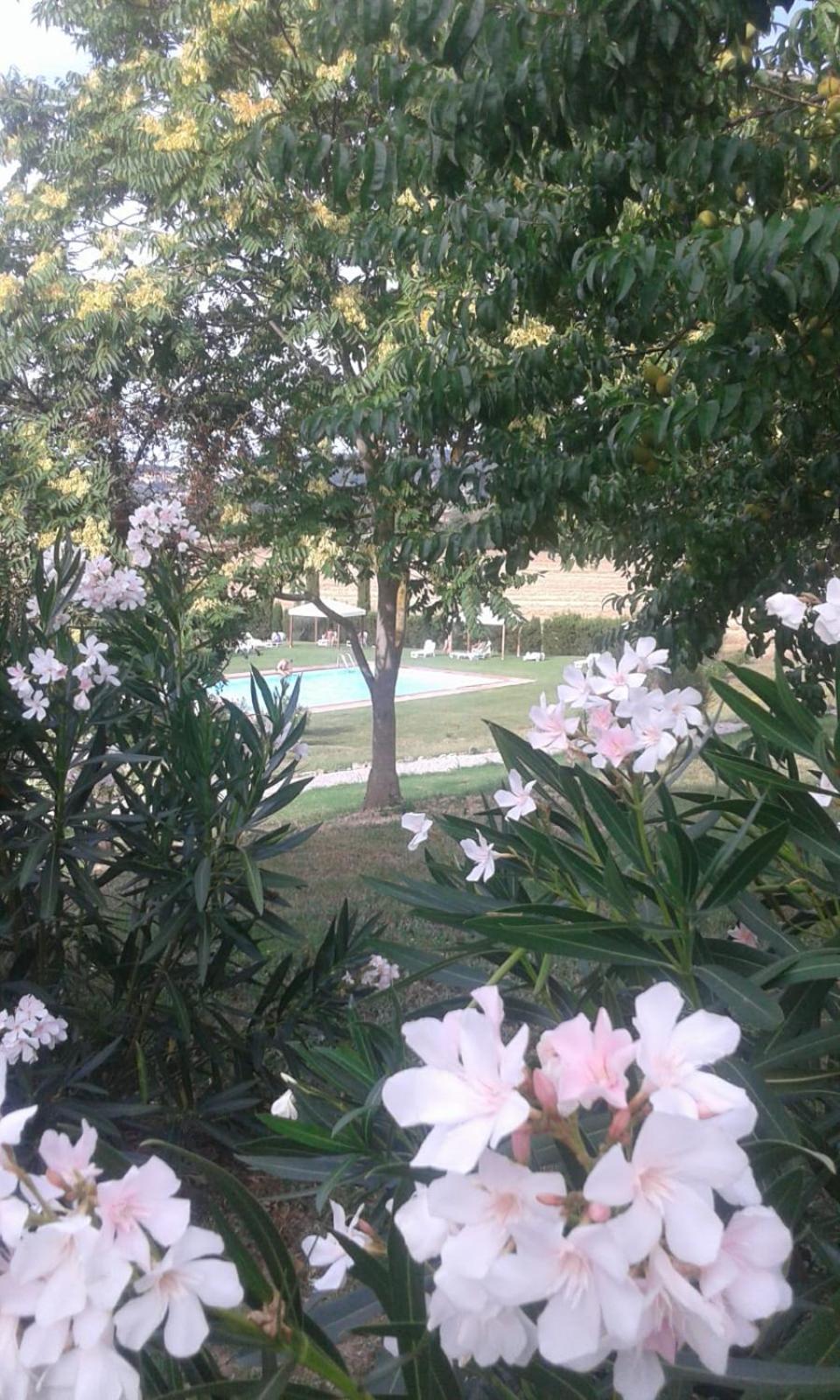 Casa Country House Girasole vakantie huis-WAKACJE HUIS