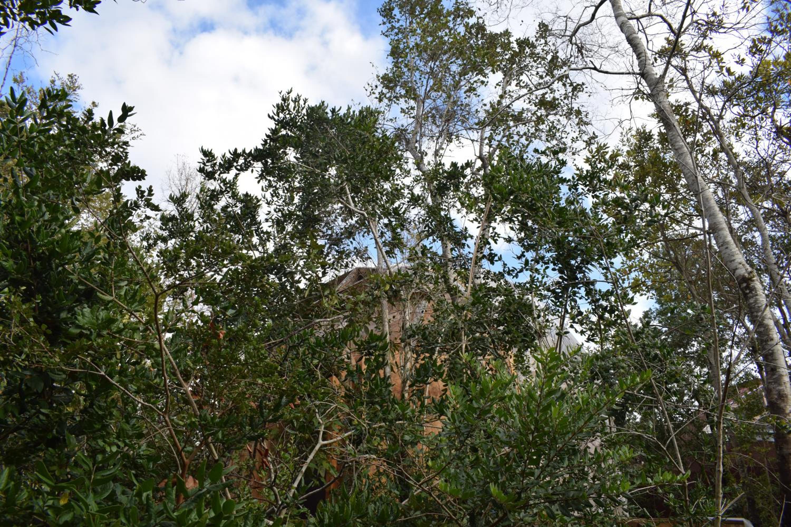 Jardín de domos: Pucon