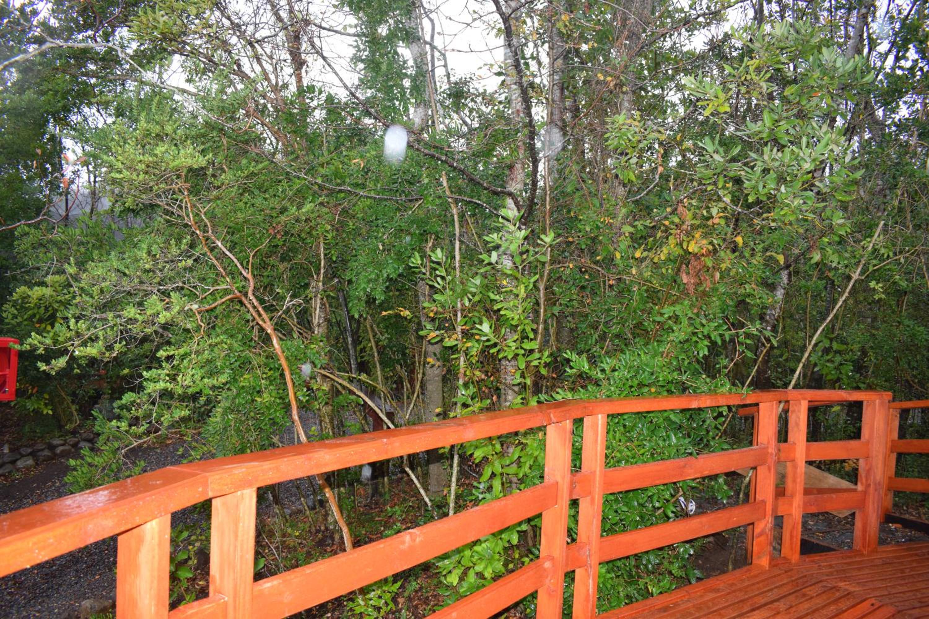 Jardín de domos: Pucon