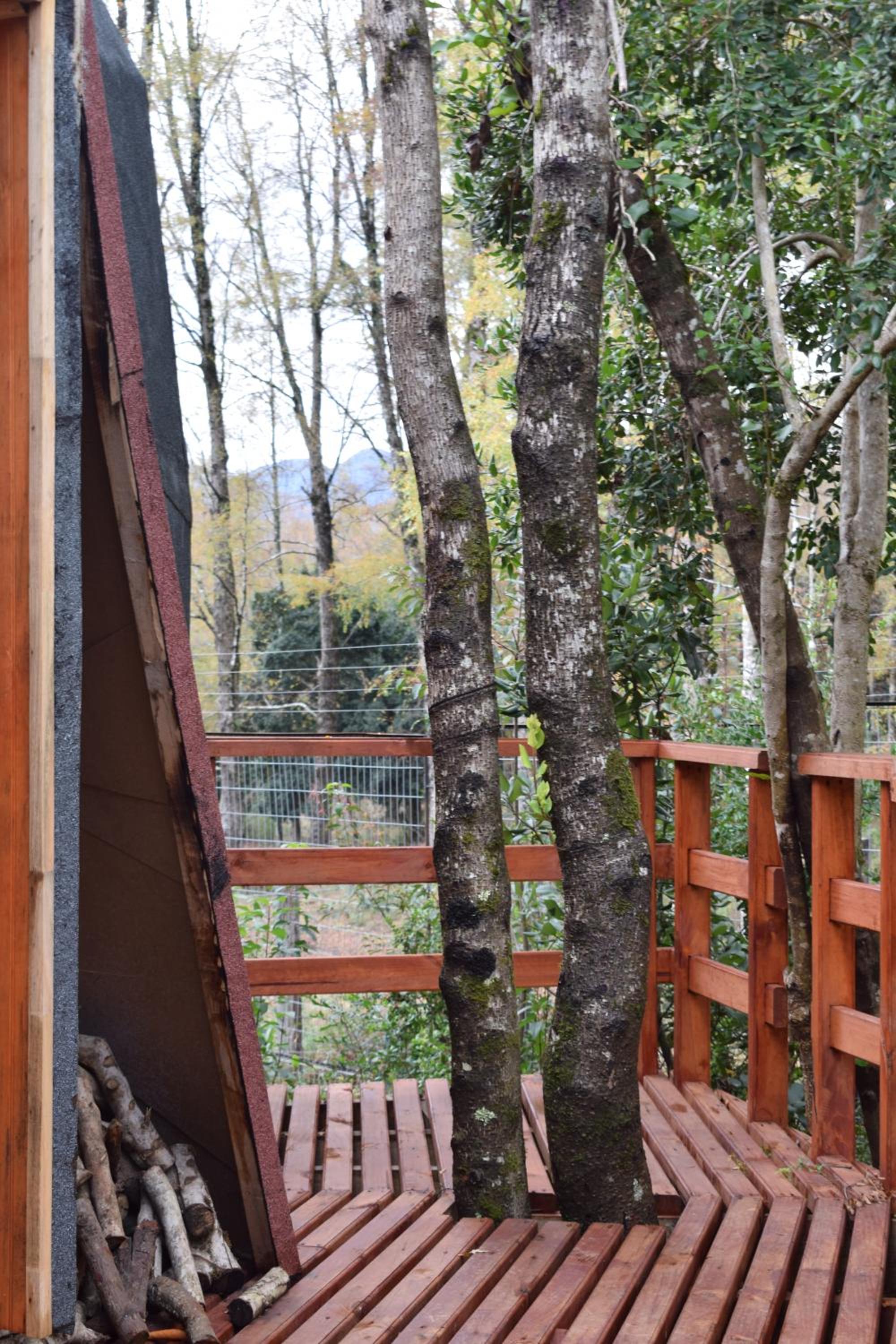 Jardín de domos: Pucon