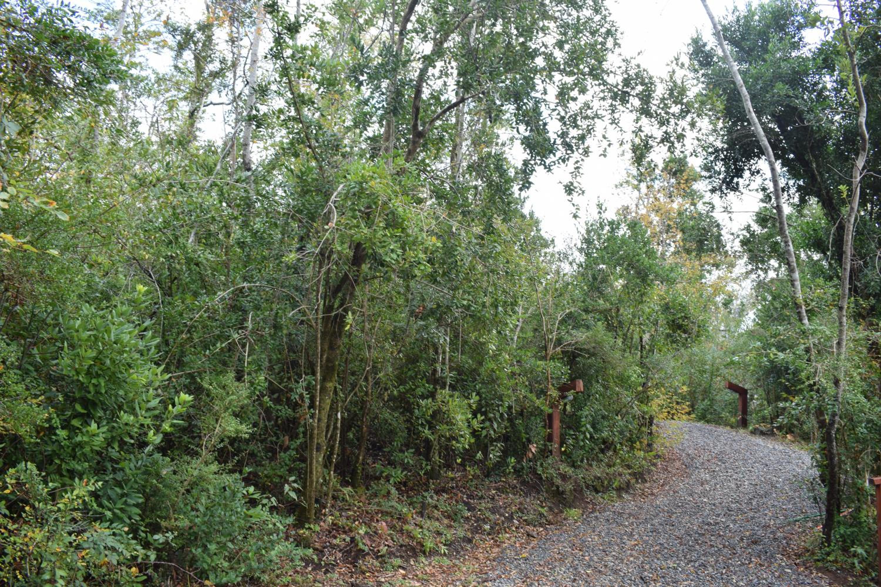 Jardín de domos: Pucon