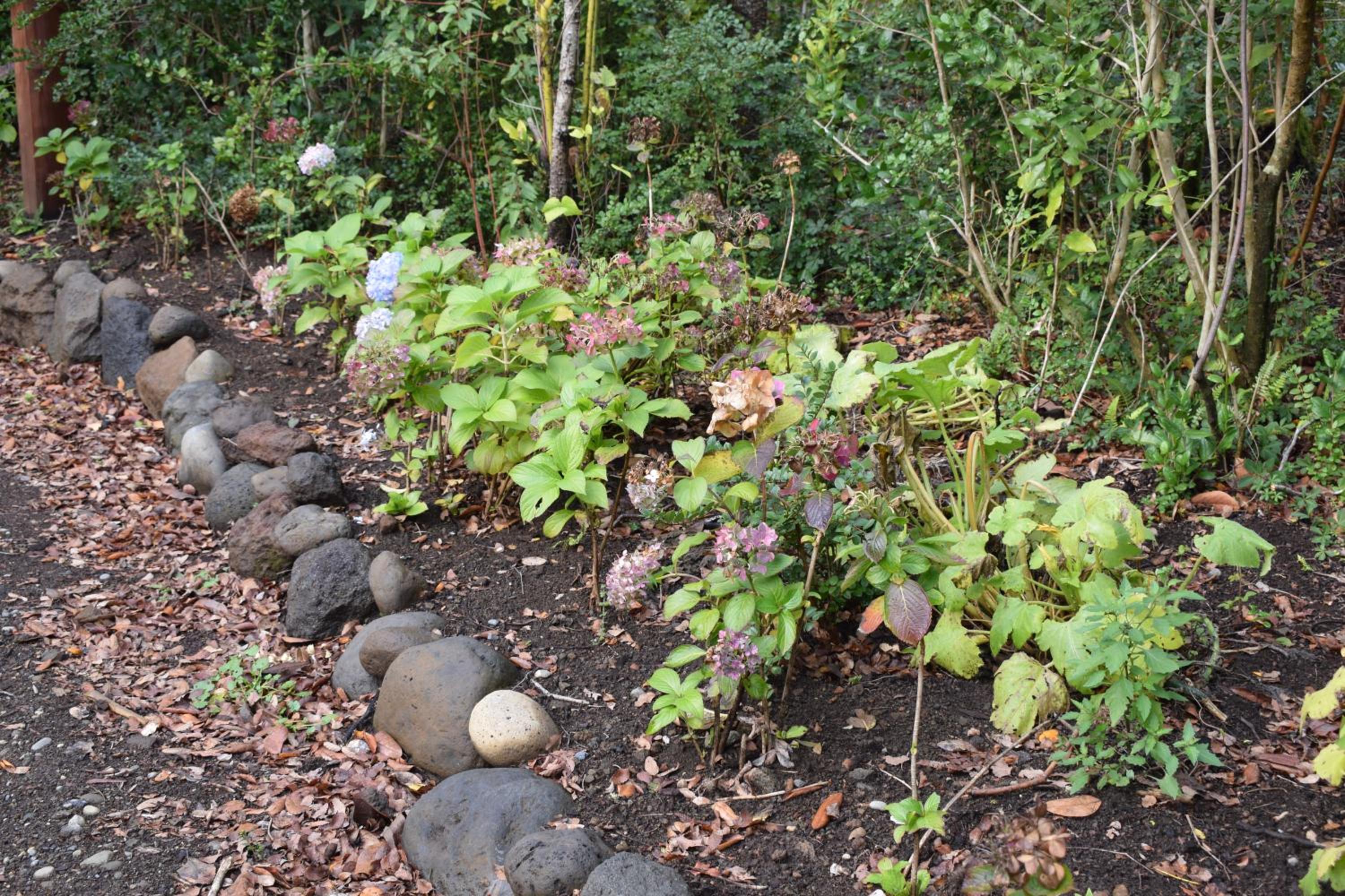 Jardín de domos: Pucon