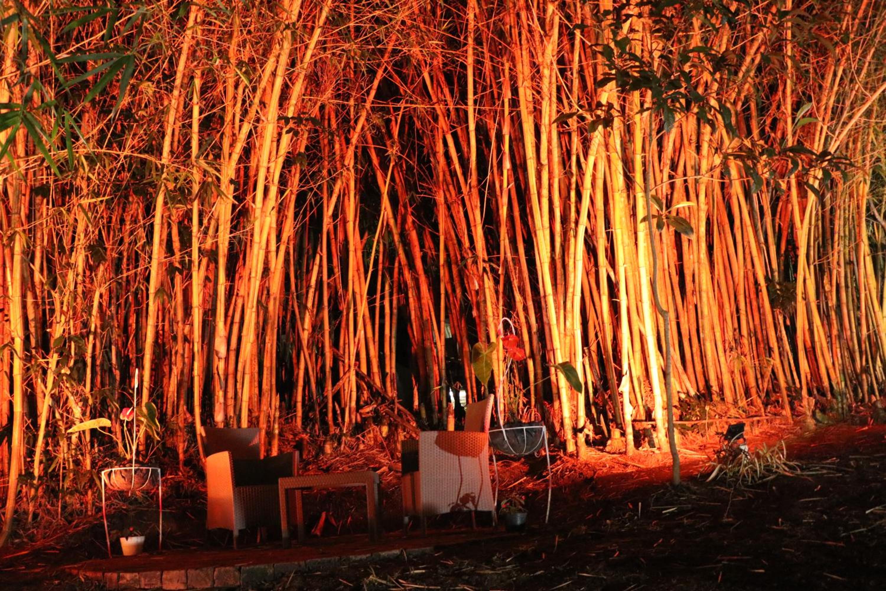 Finca Ecológica El Maco