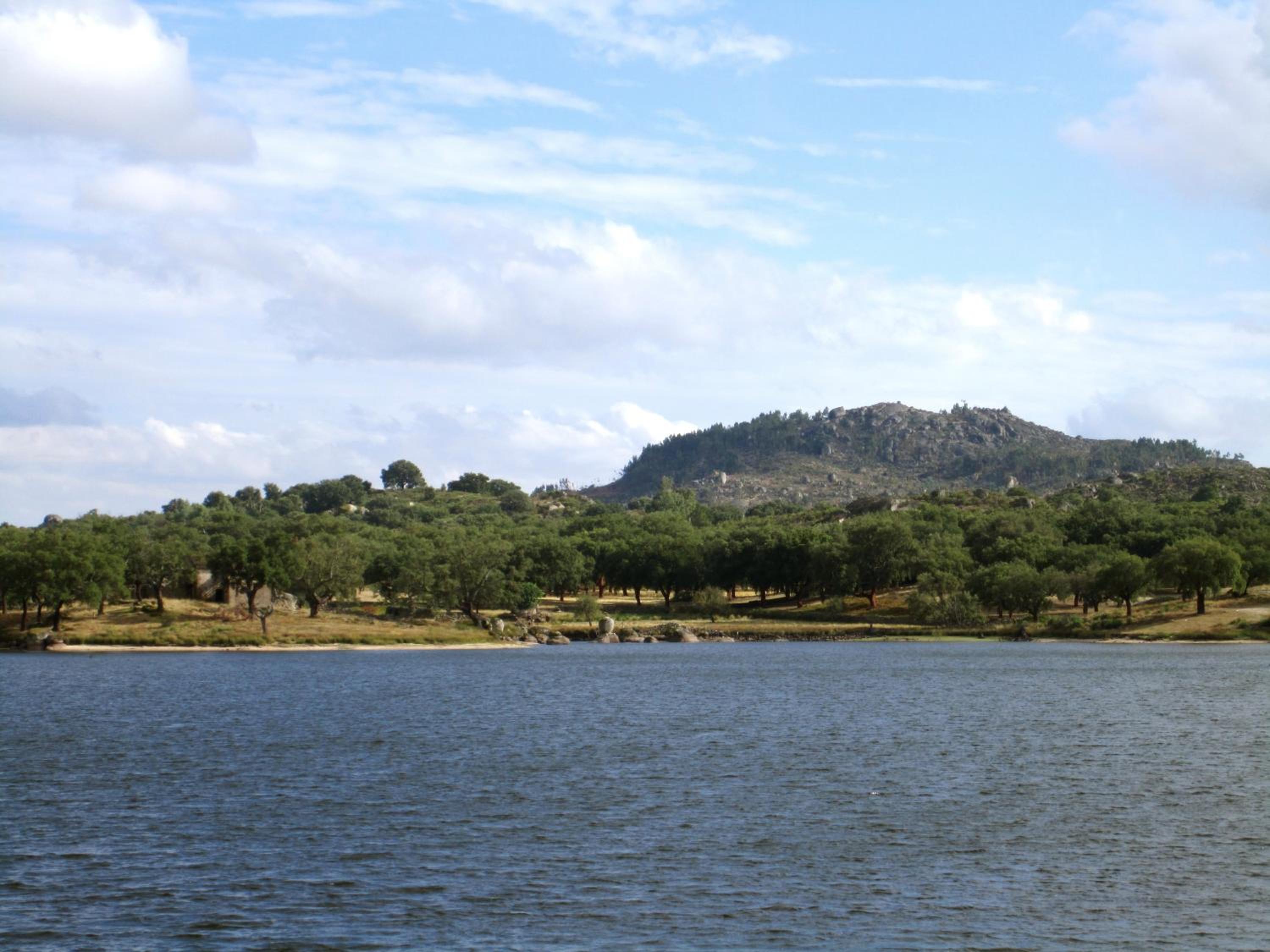 Photo 40