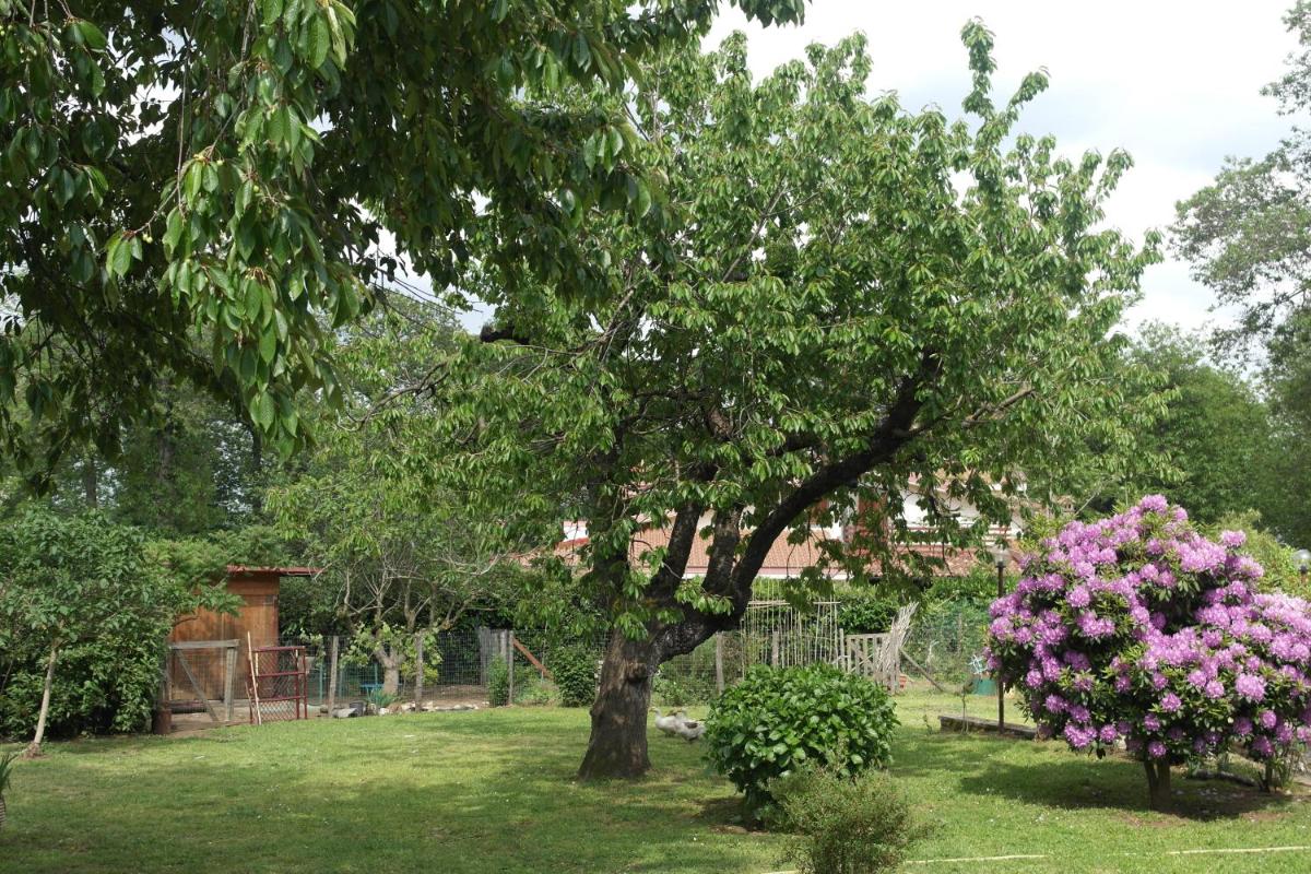 B&B Viale dei Pini photo 2