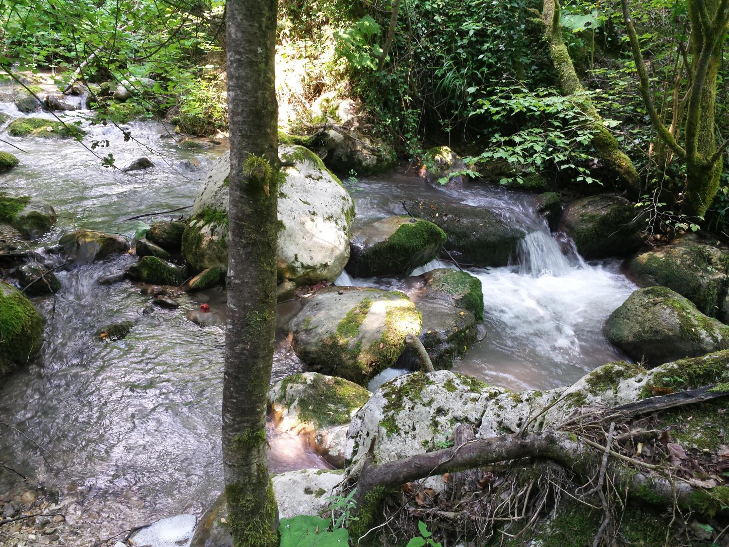 Photo 13
