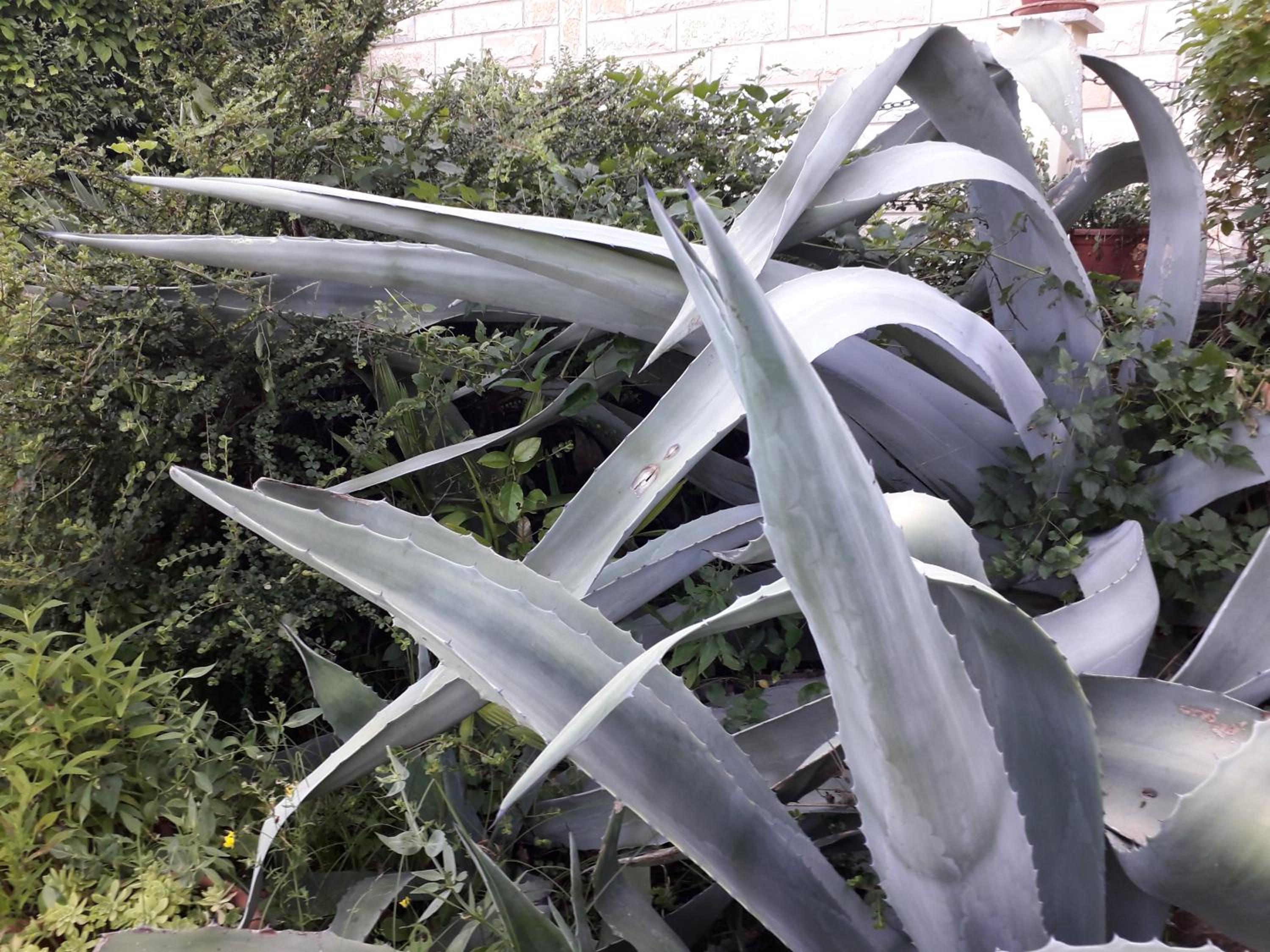 Photo 40