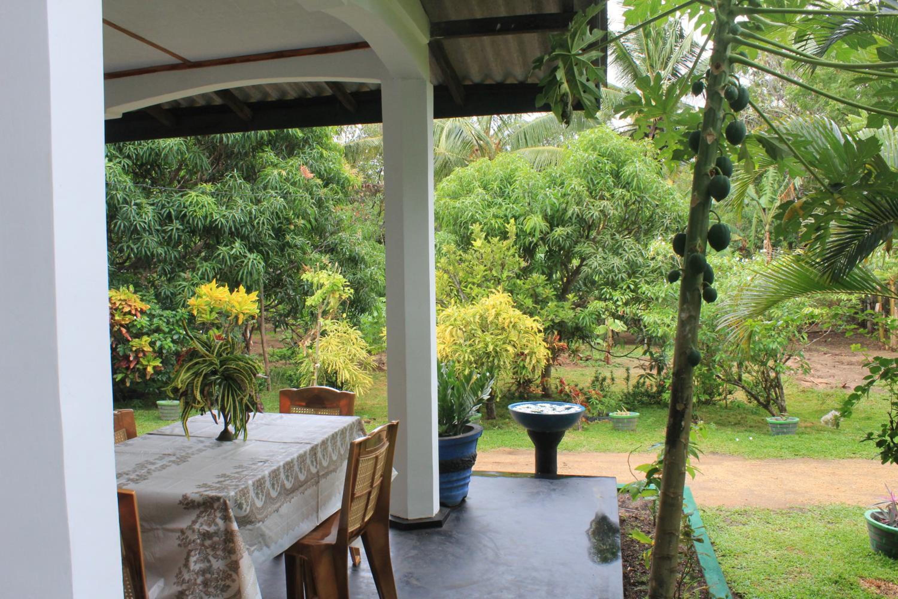 Nature Night Homestay view 5