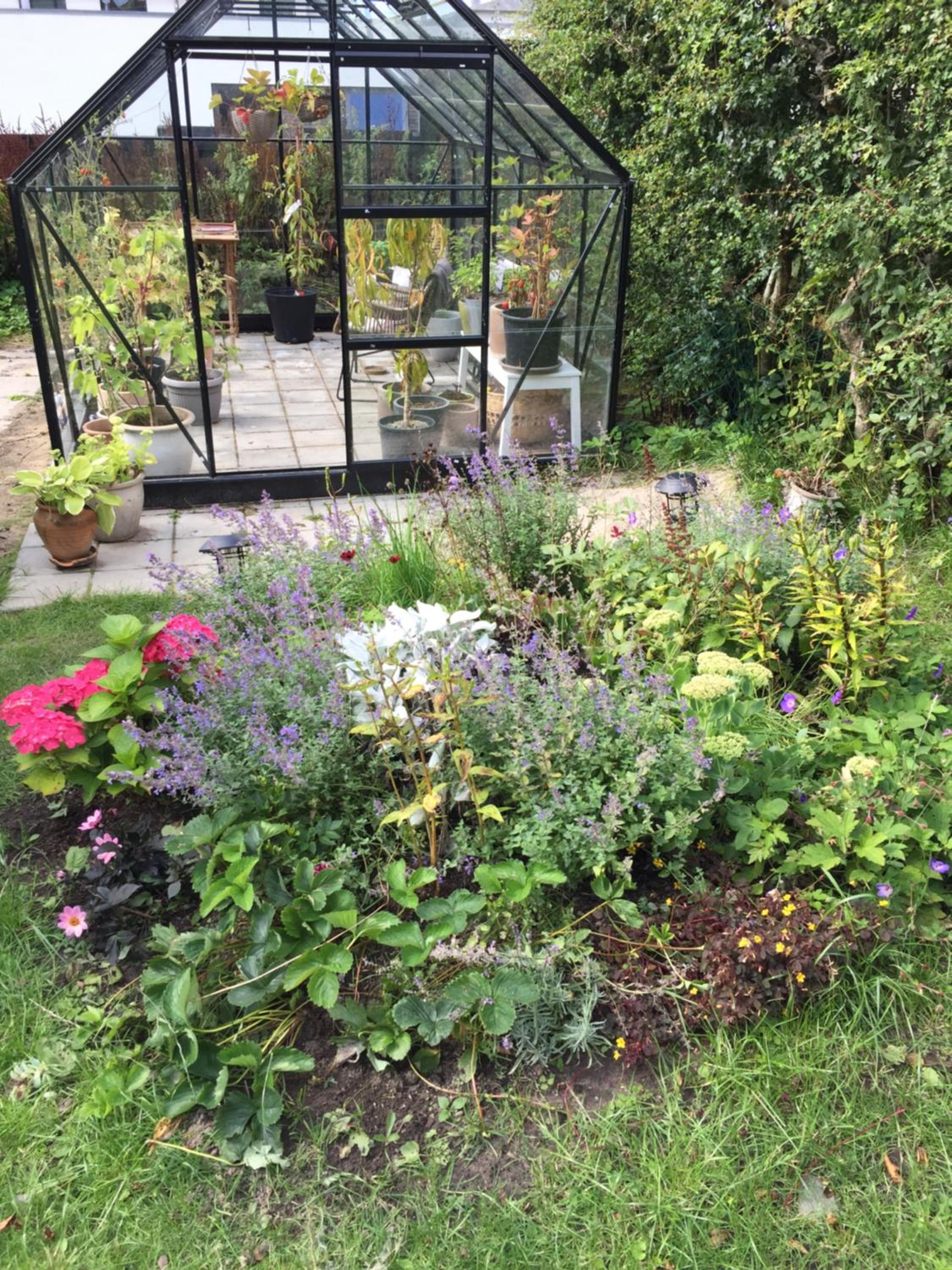 Photo 15