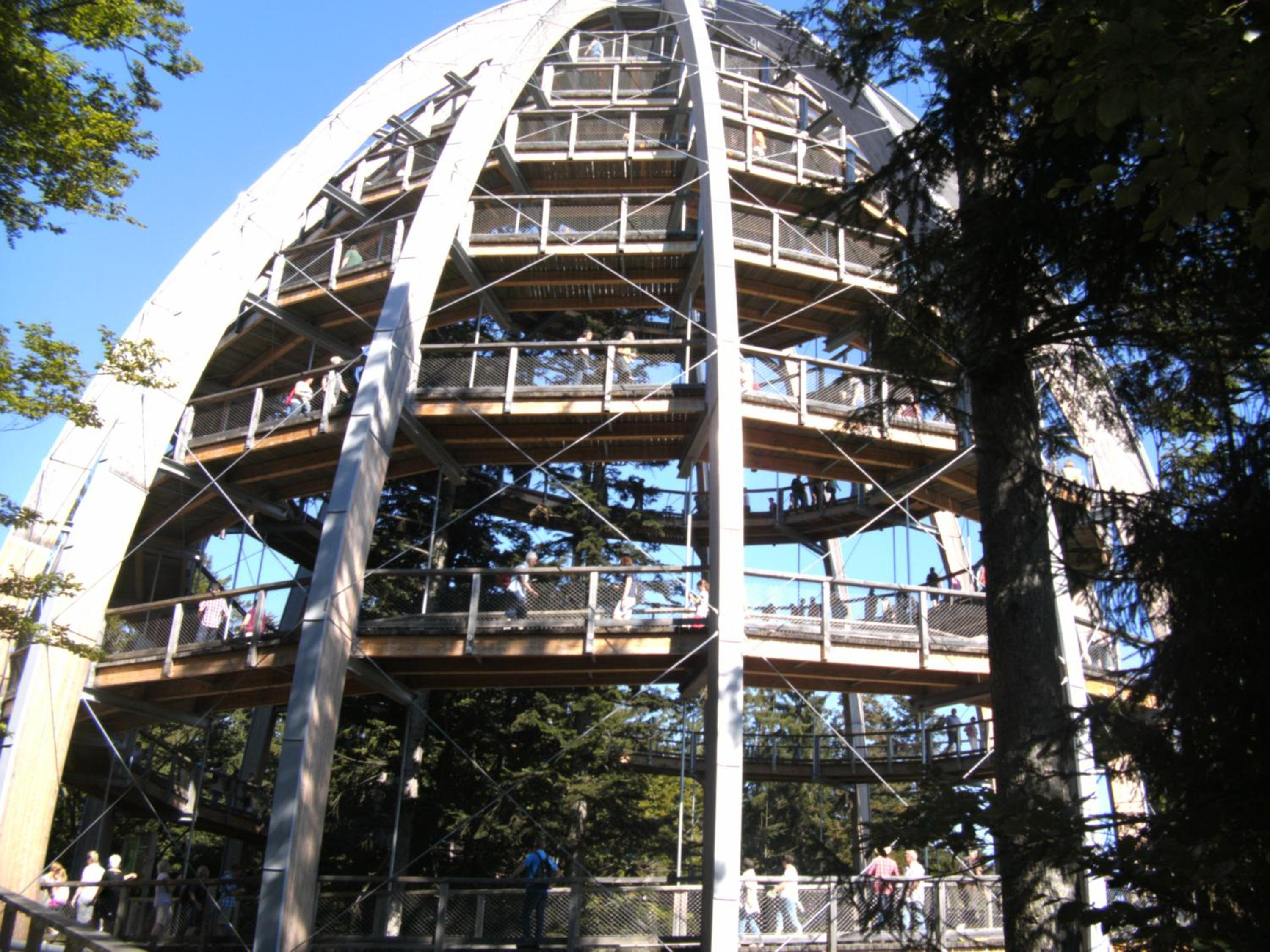 Photo 48