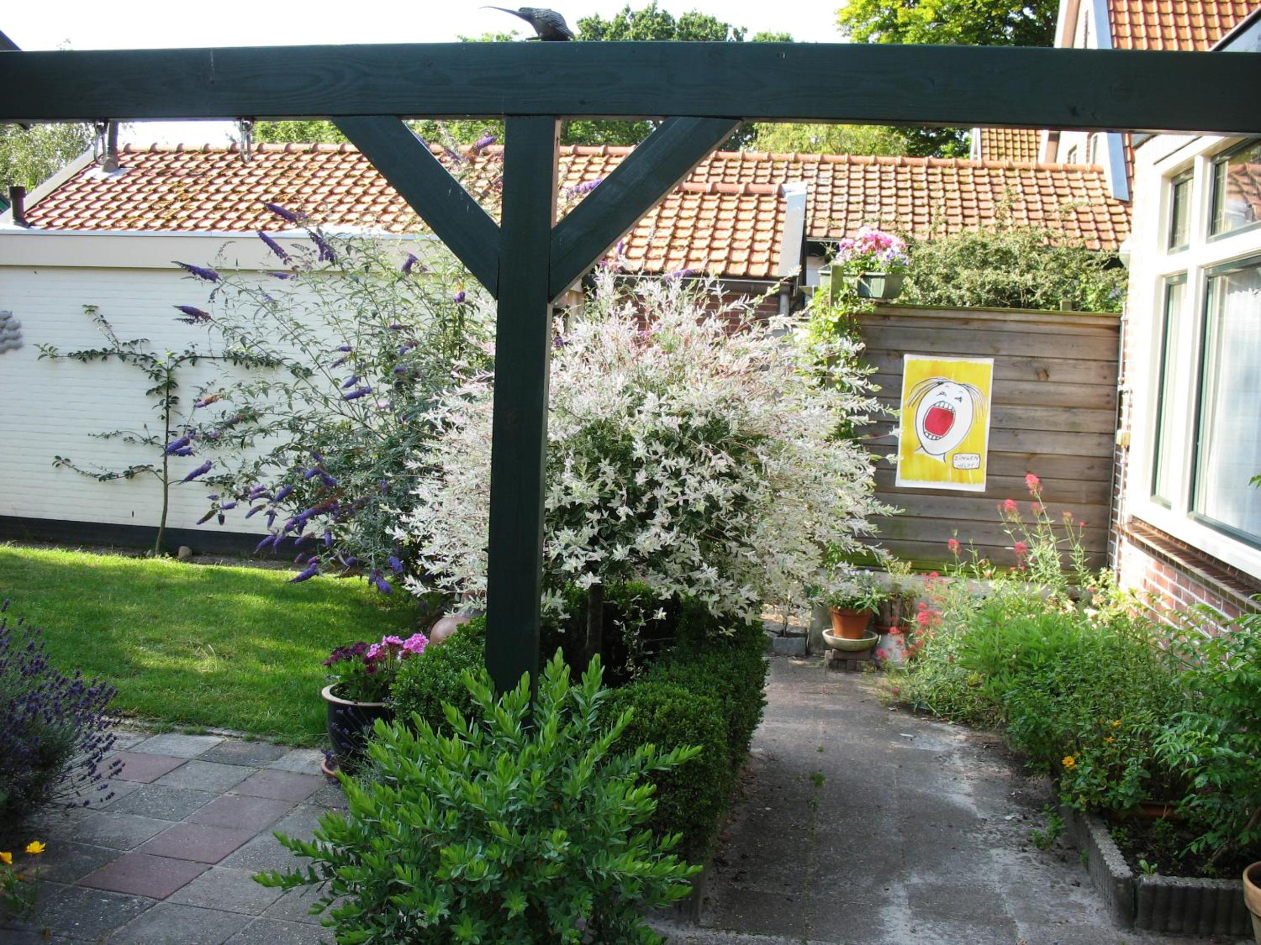 Photo 15