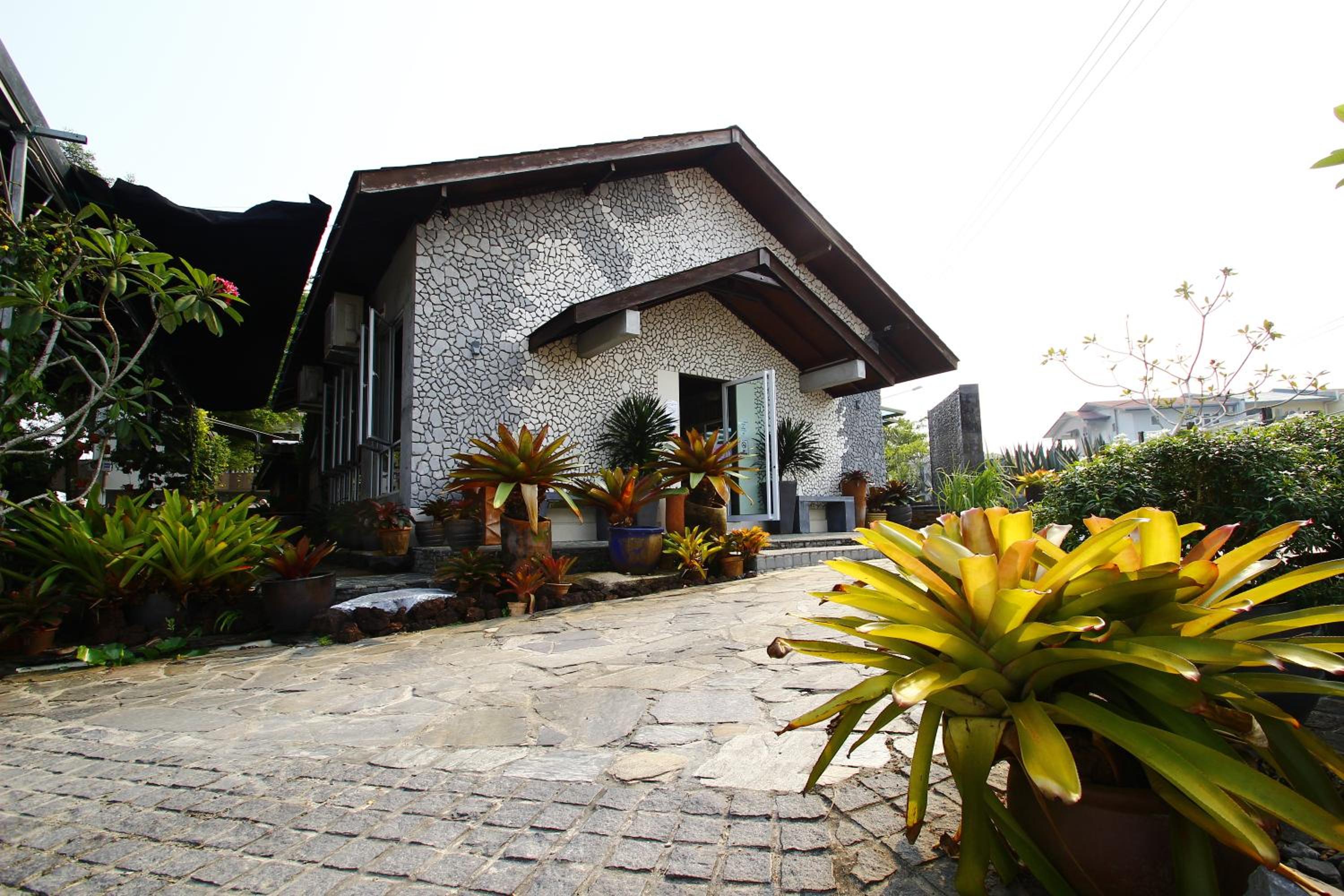 The Green Cottage photo 4