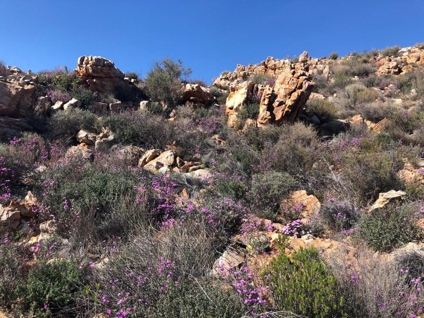 Photo 55