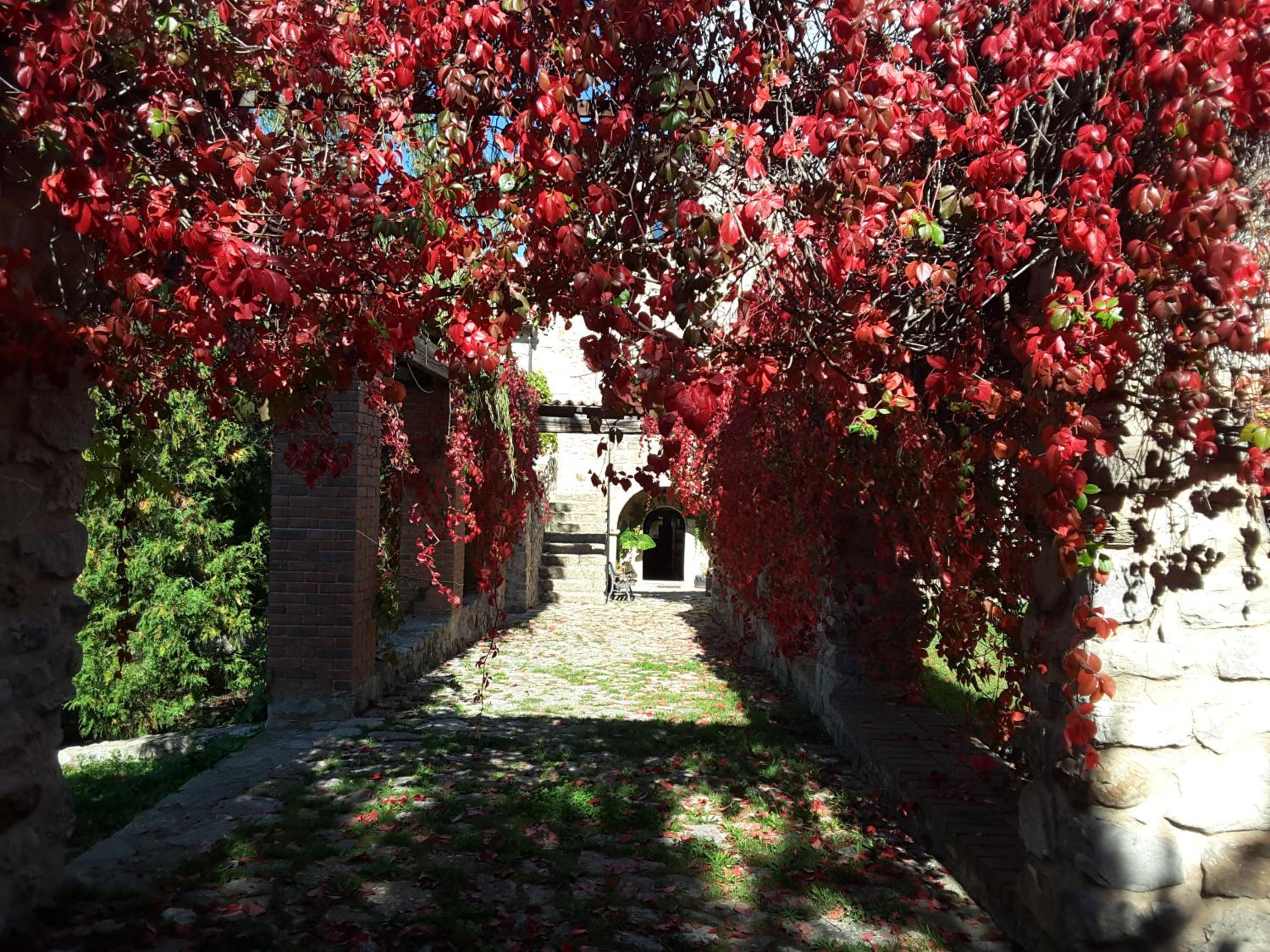 Giardino Donna Lavia photo 2