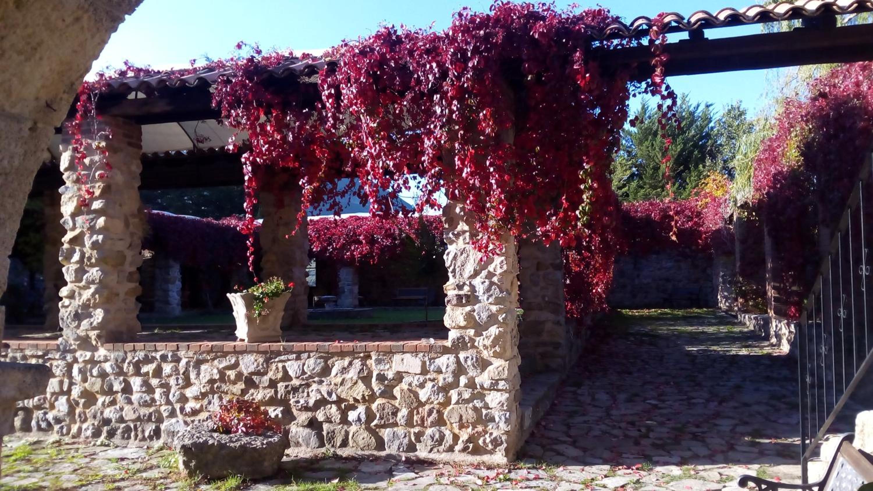 Giardino Donna Lavia photo 3