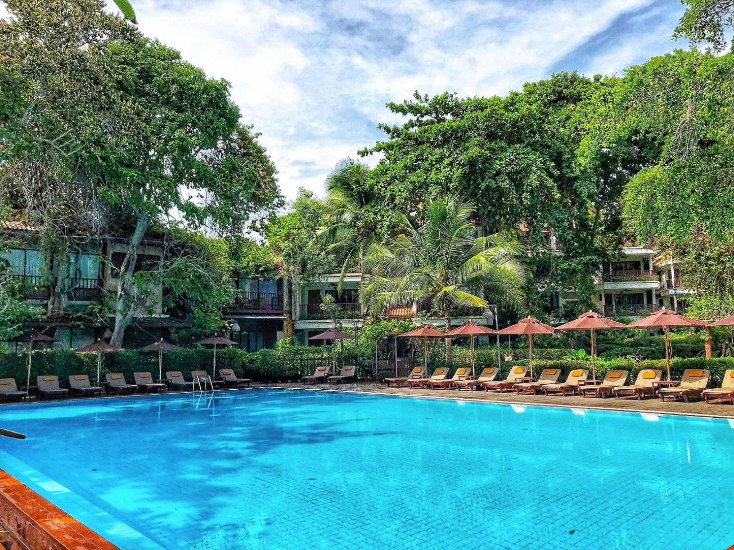 Birds and Bees Resort