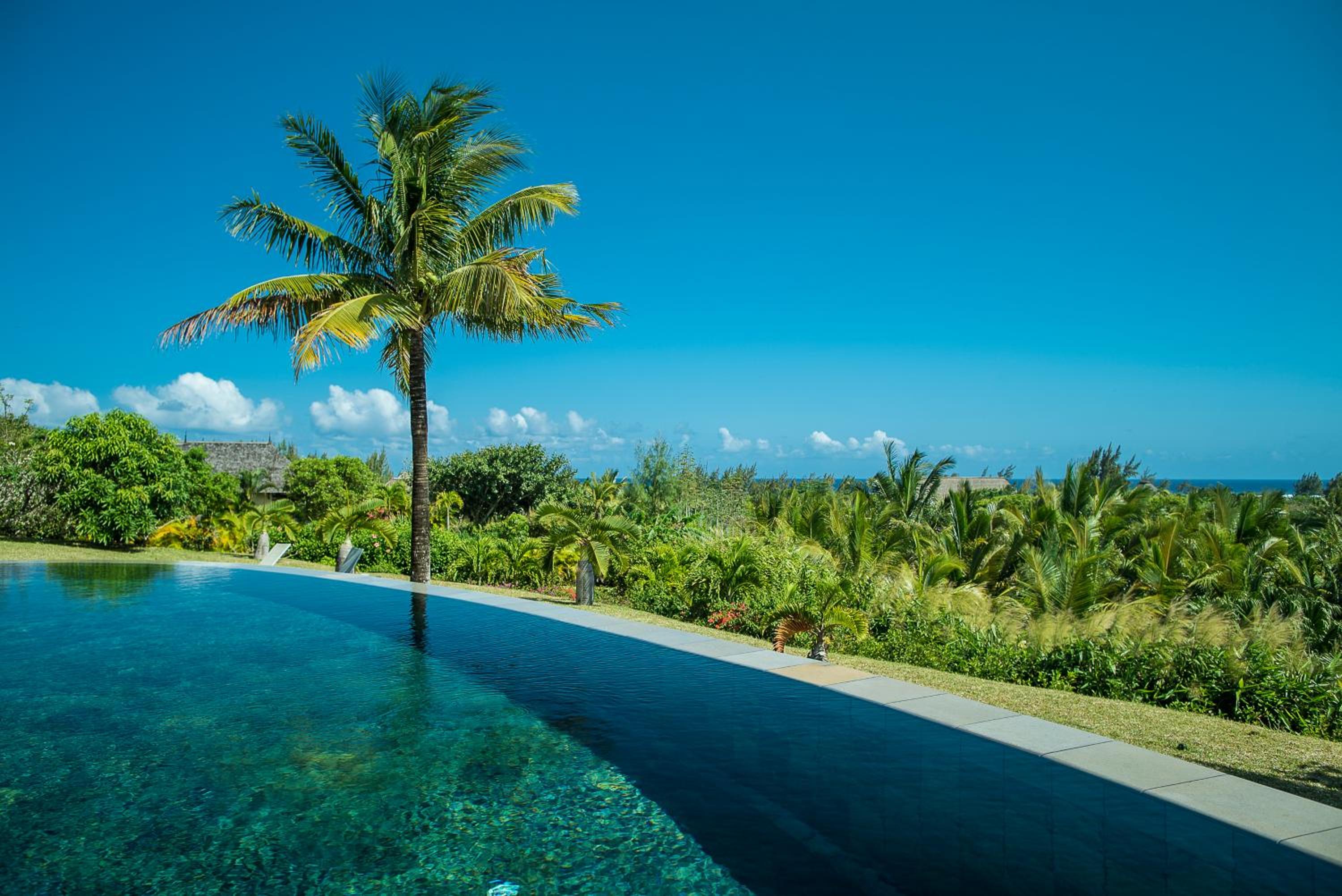 Swiss Nest Travel photo 3