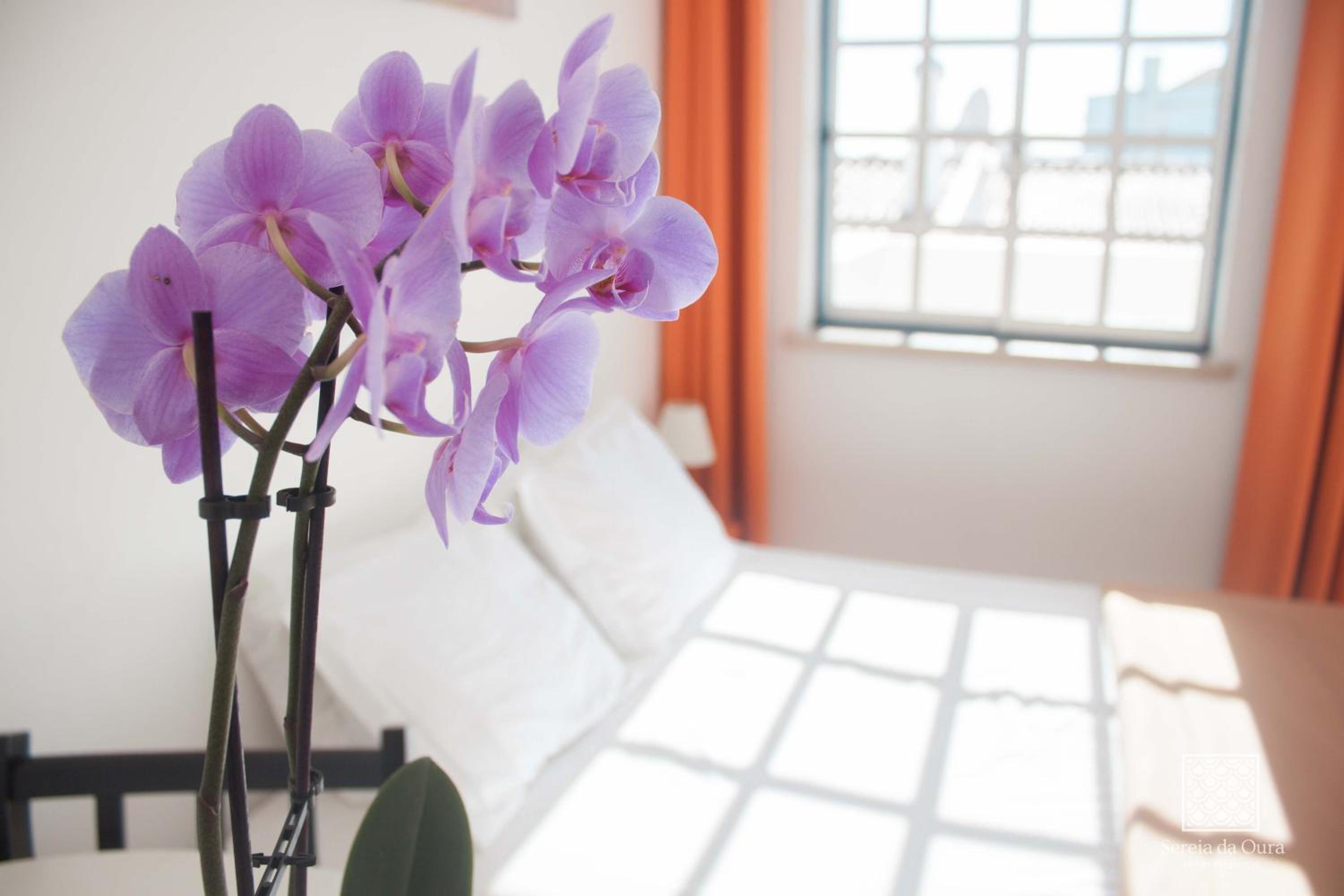 Apartamentos Sereia da Oura