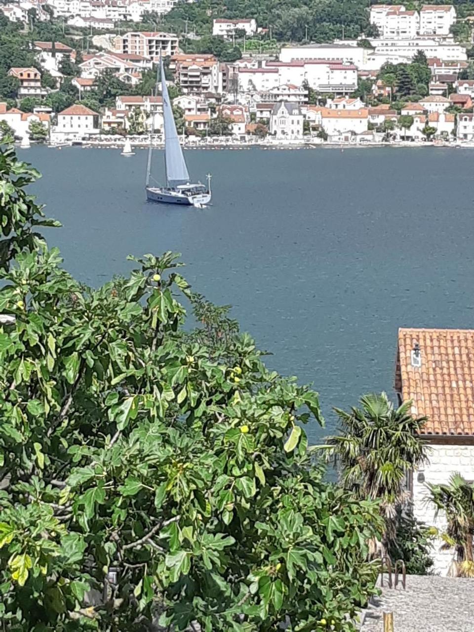 My roots apartment view 2