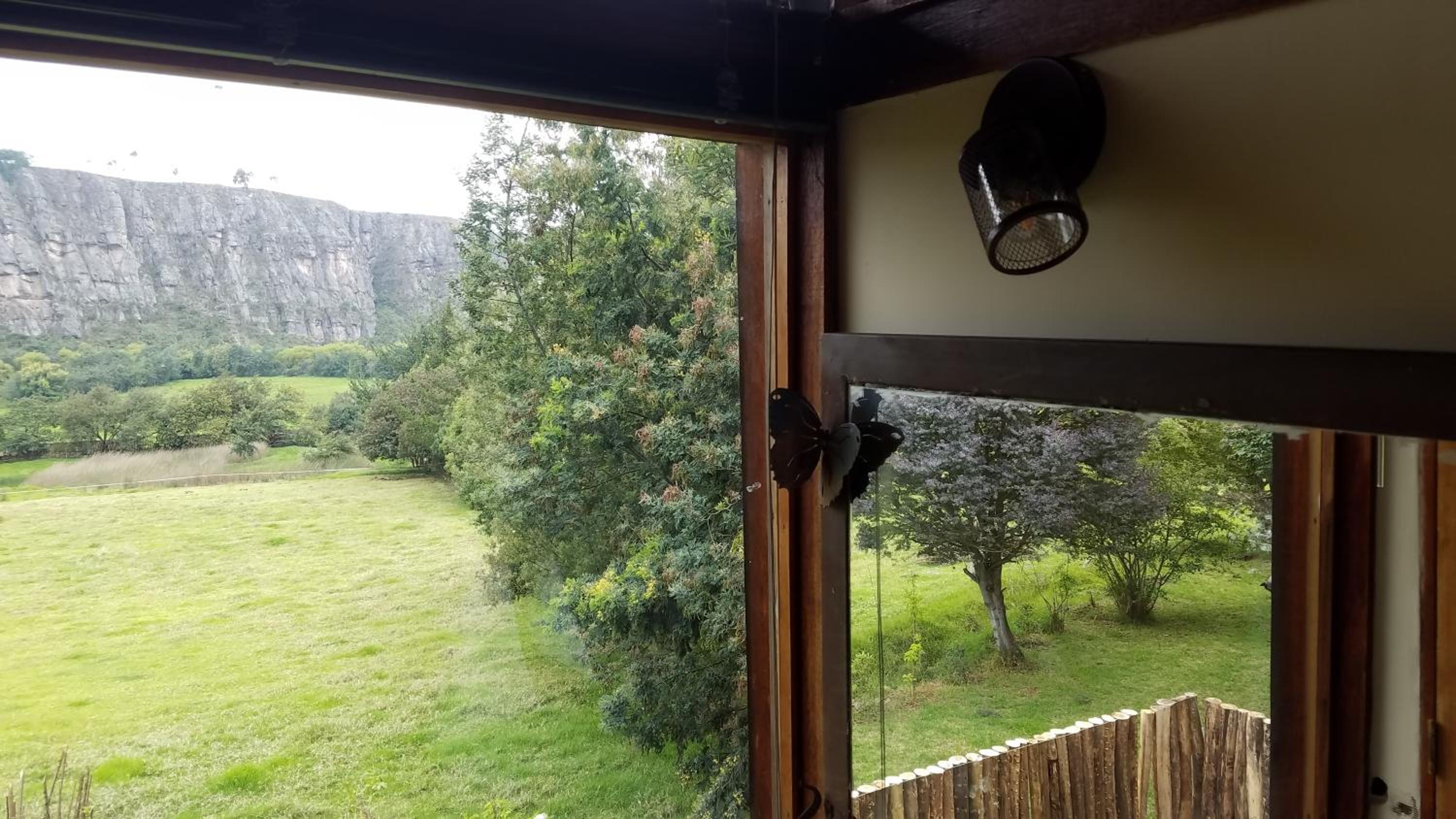 Casa en el Árbol