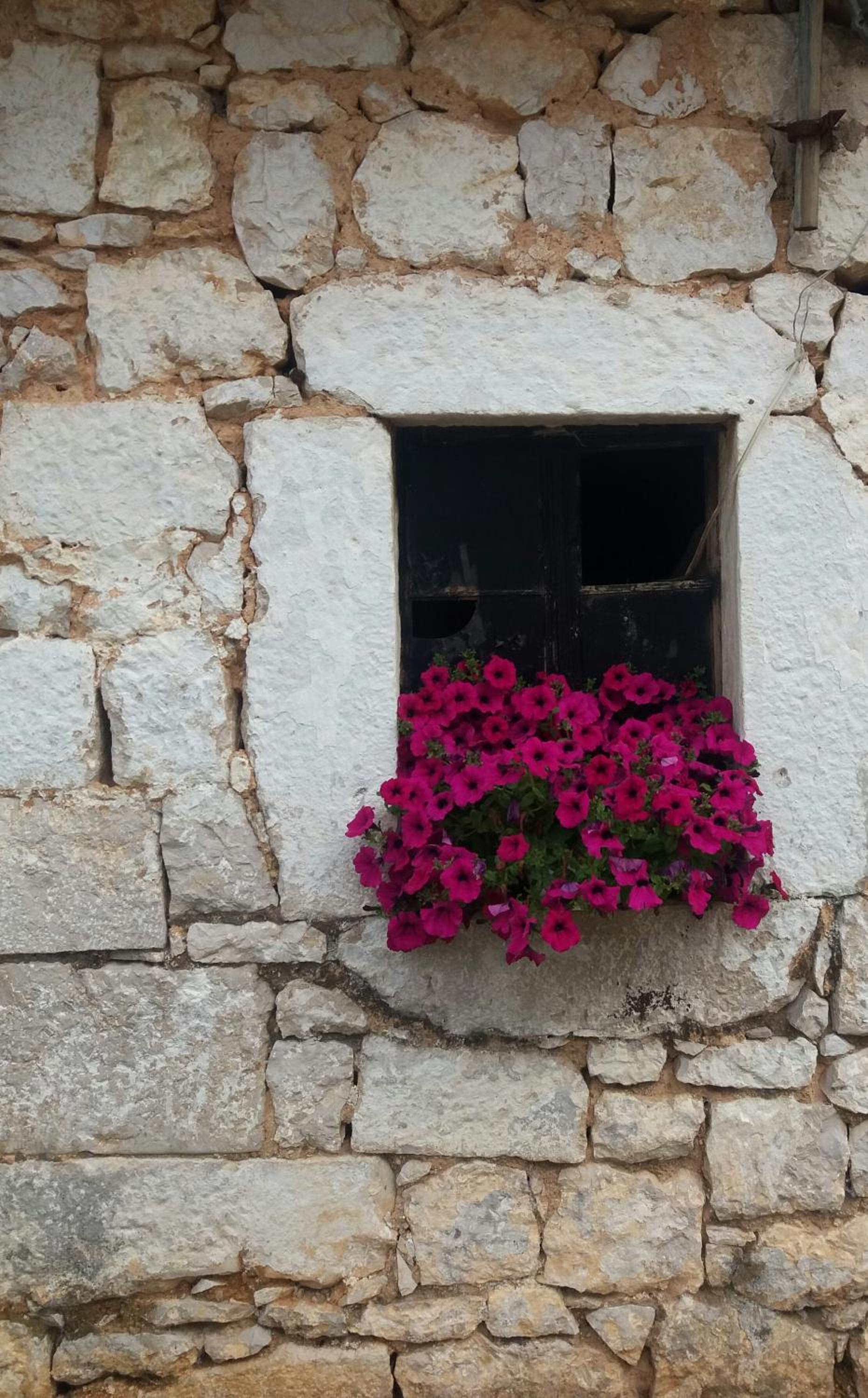 Janja Medjugorje