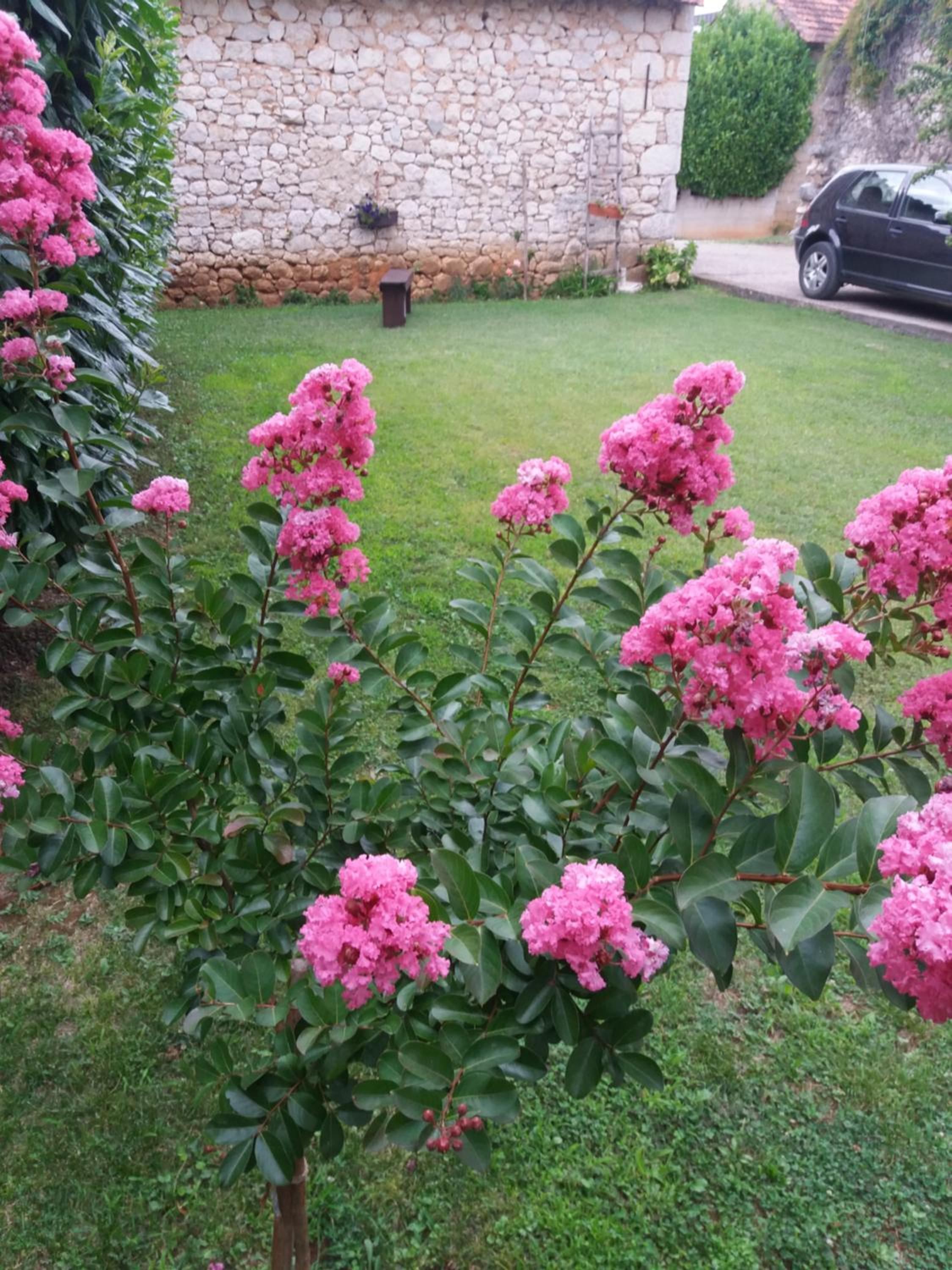 Janja Medjugorje