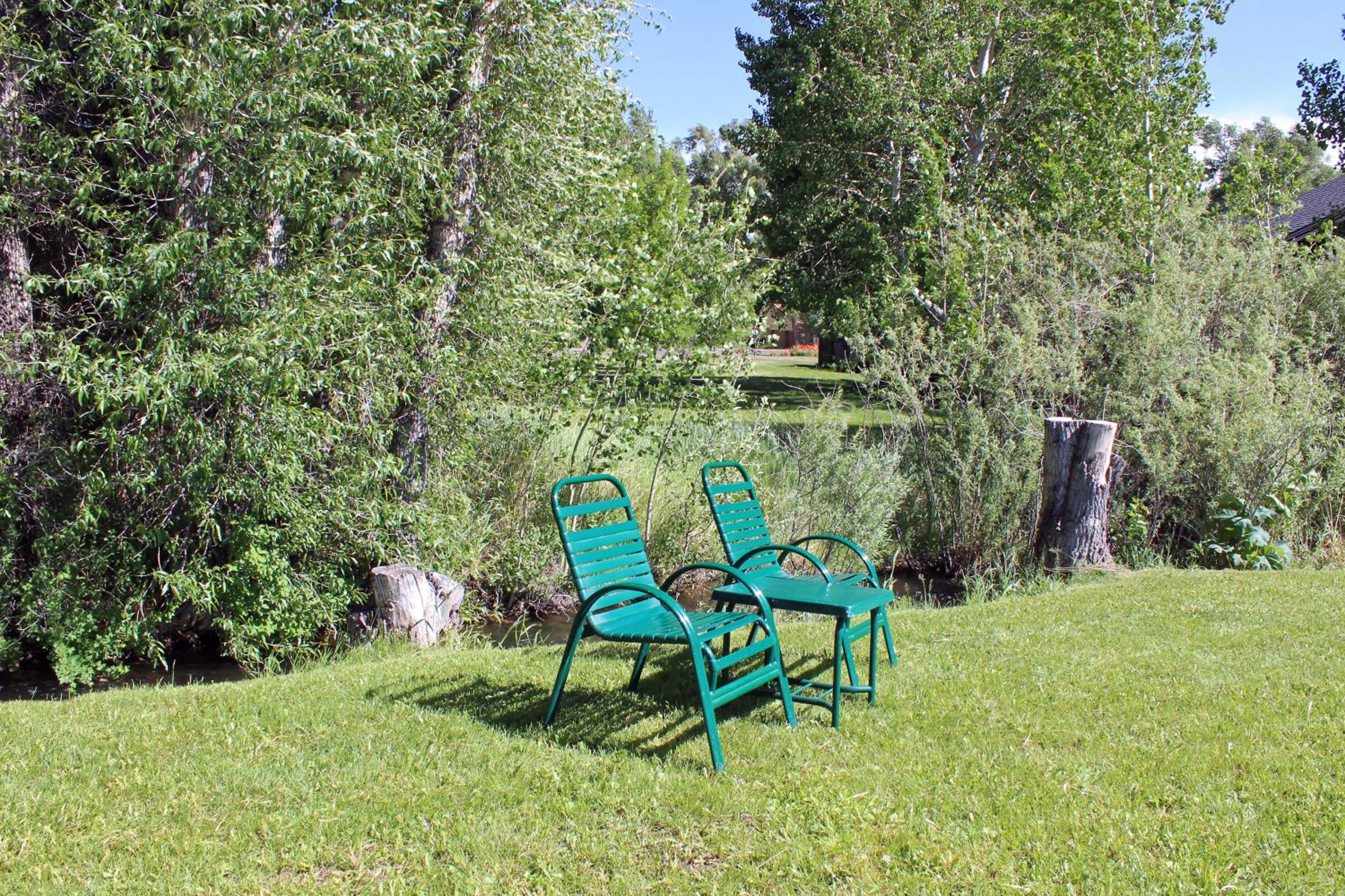 Photo 7
