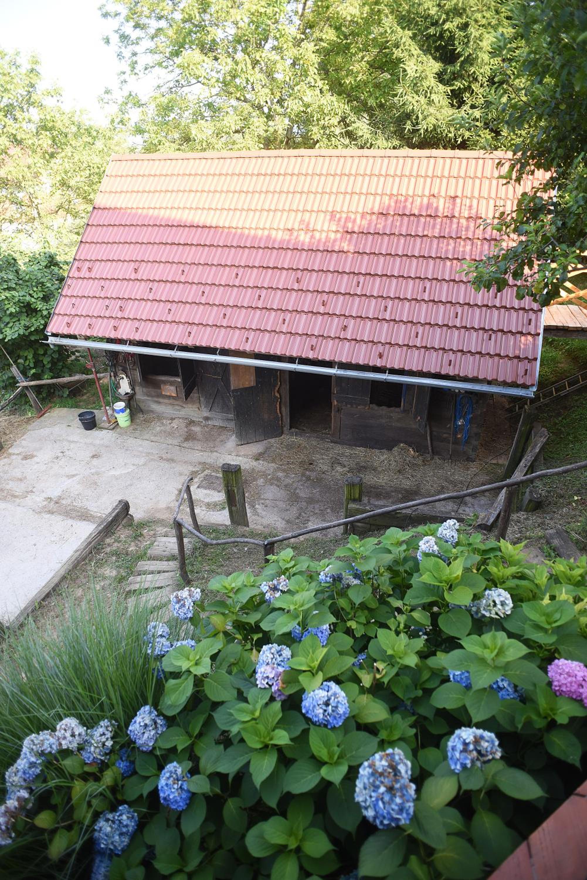 Photo 20