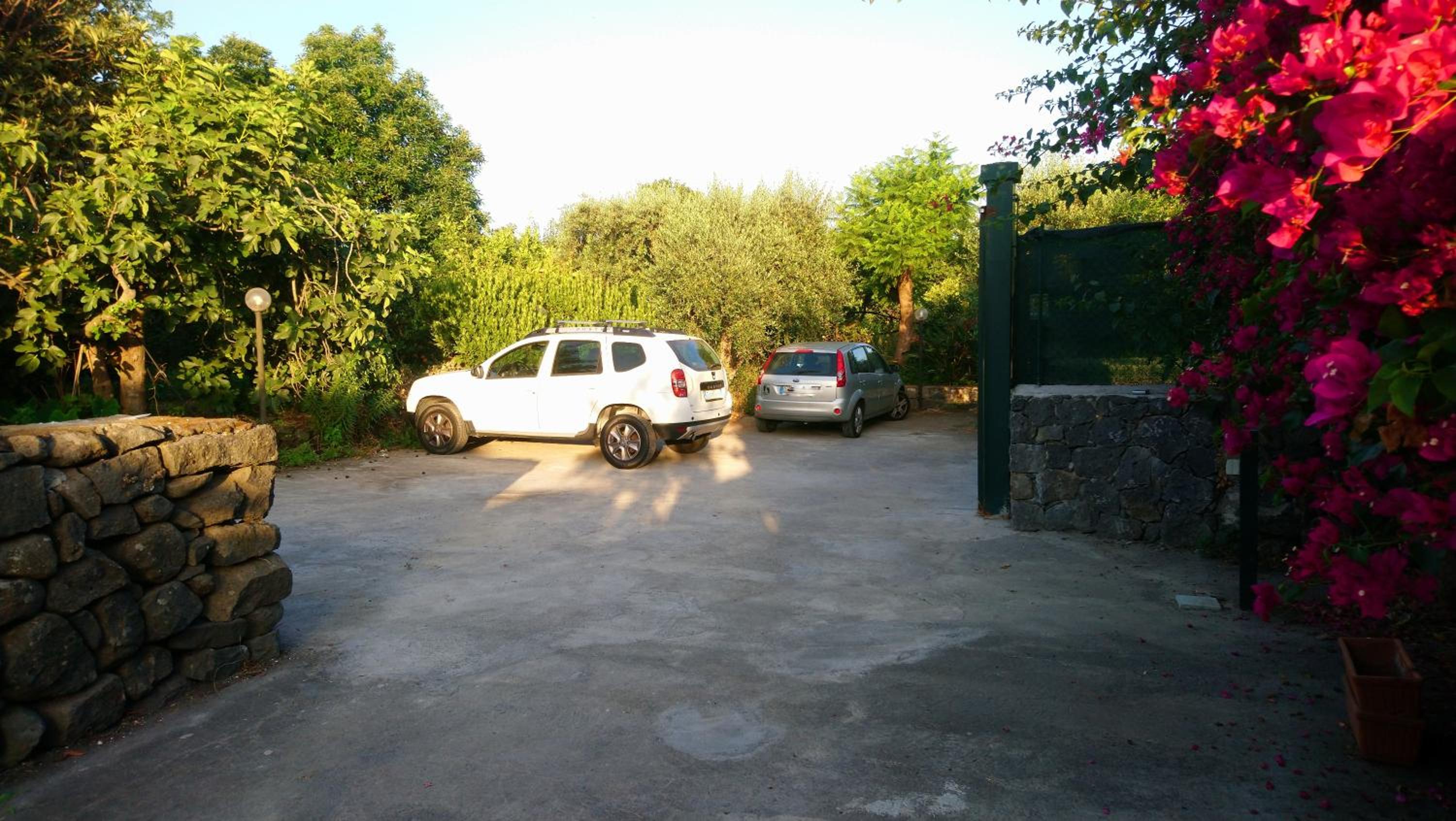 Photo 46
