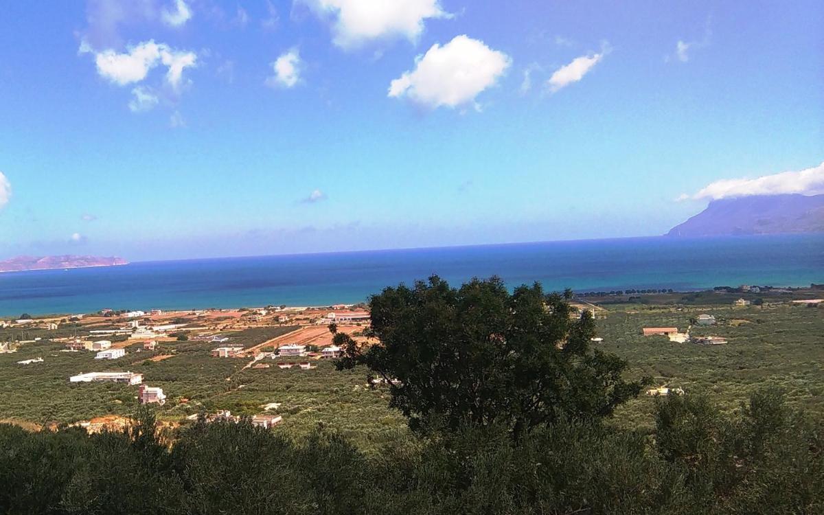 Olive Breeze photo 2