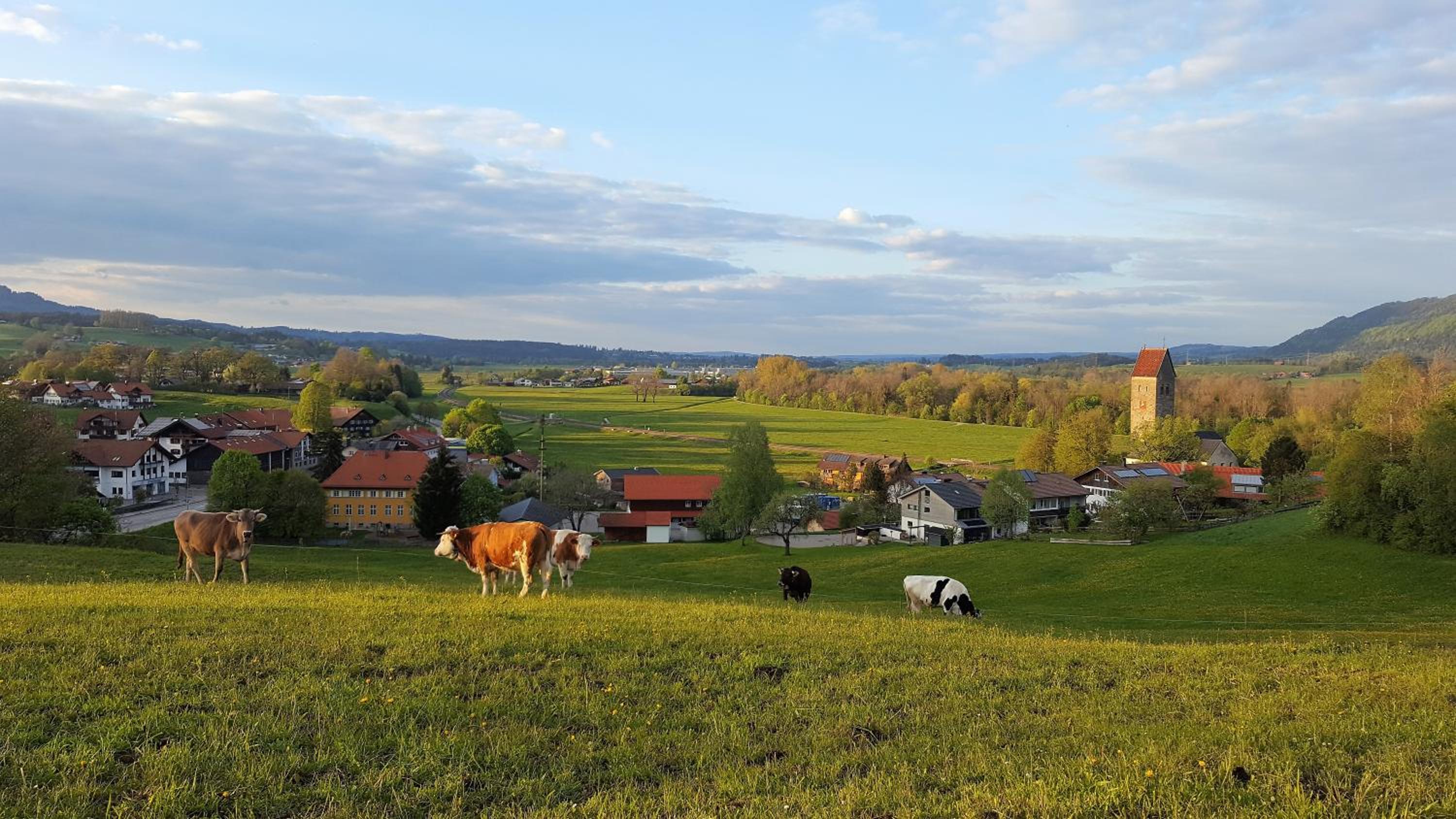 Ferienwohnung am Eichwald