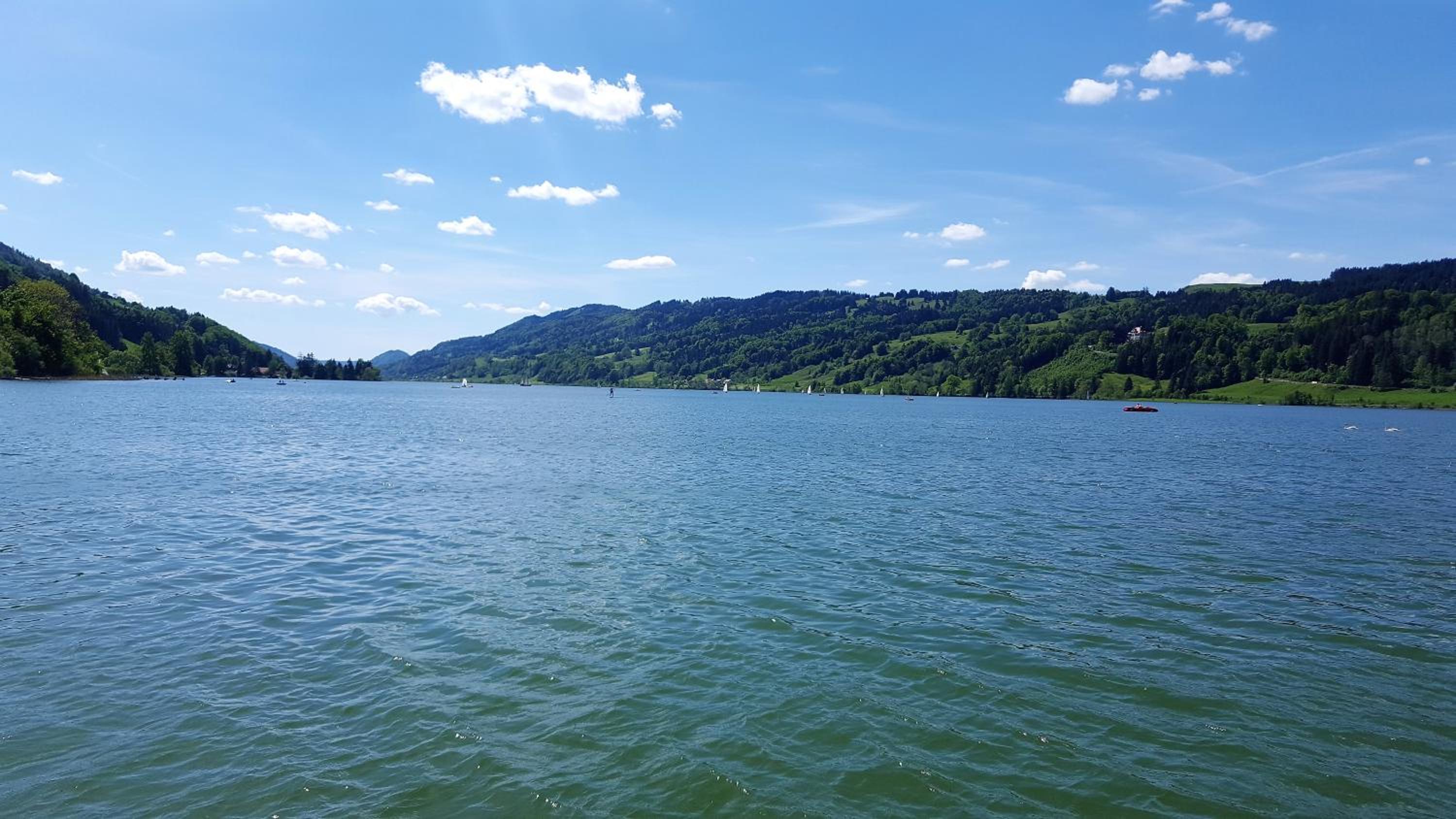 Ferienwohnung am Eichwald