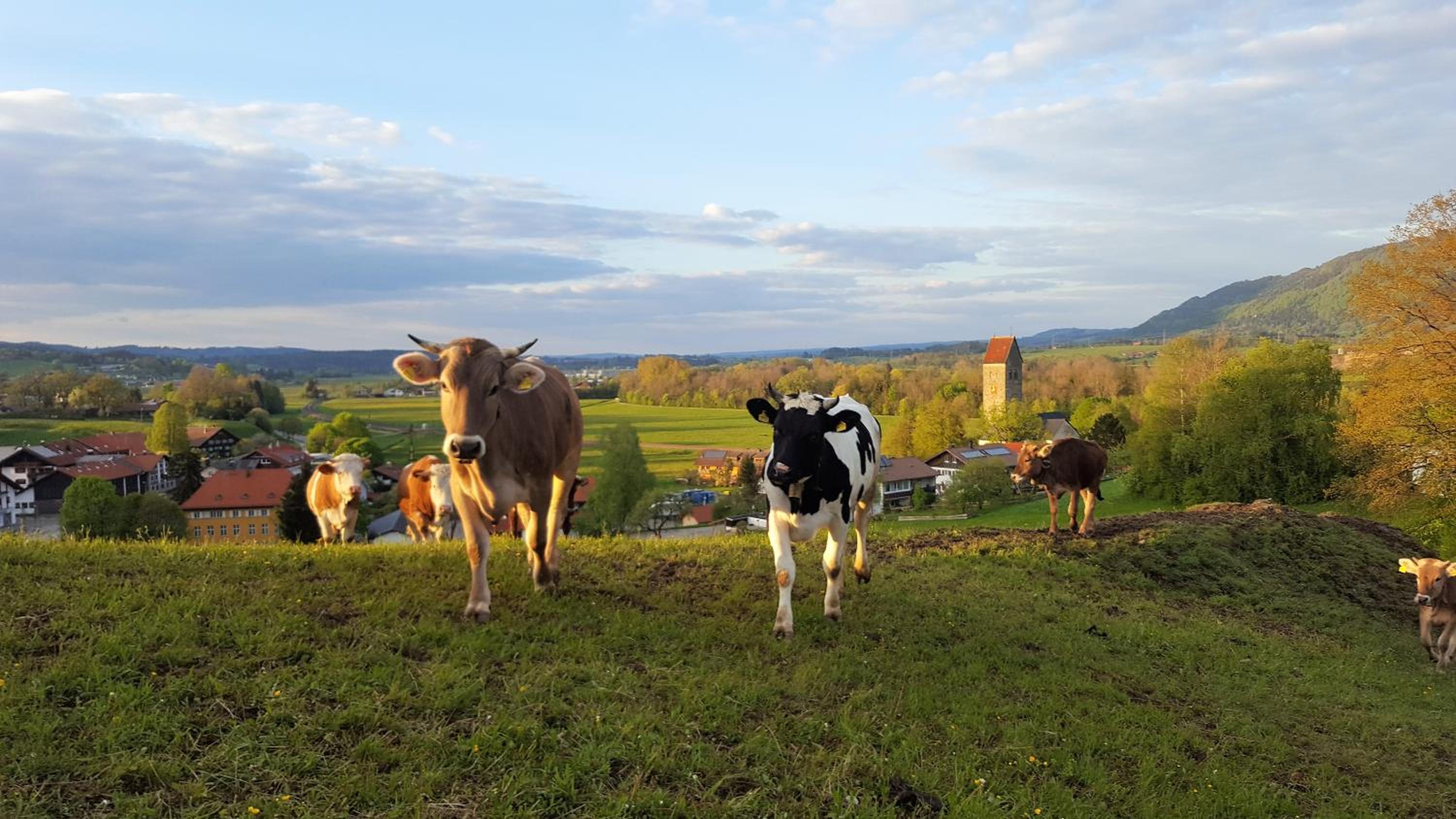 Ferienwohnung am Eichwald
