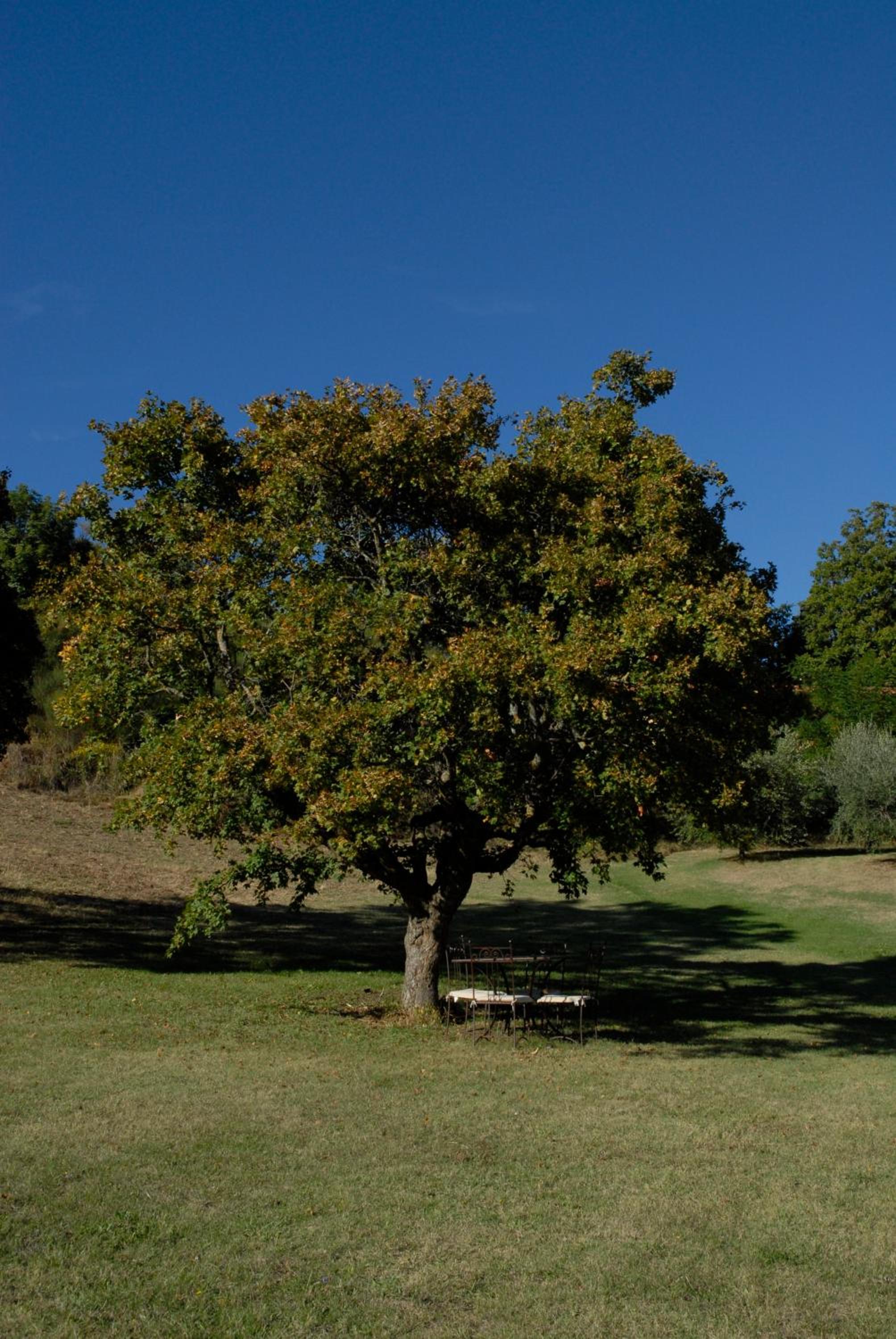 Agriturismo Paradiso41