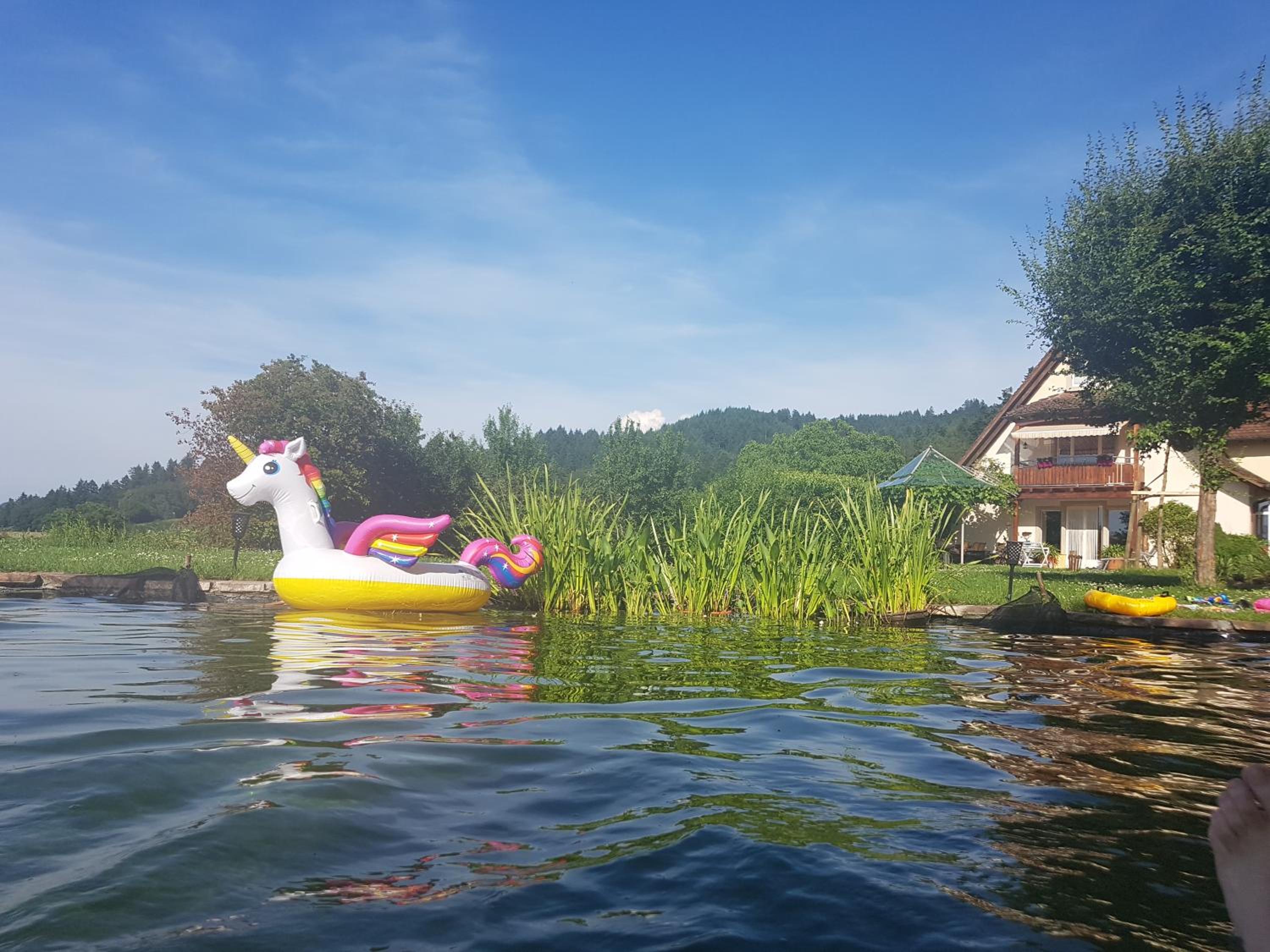Paradies 1