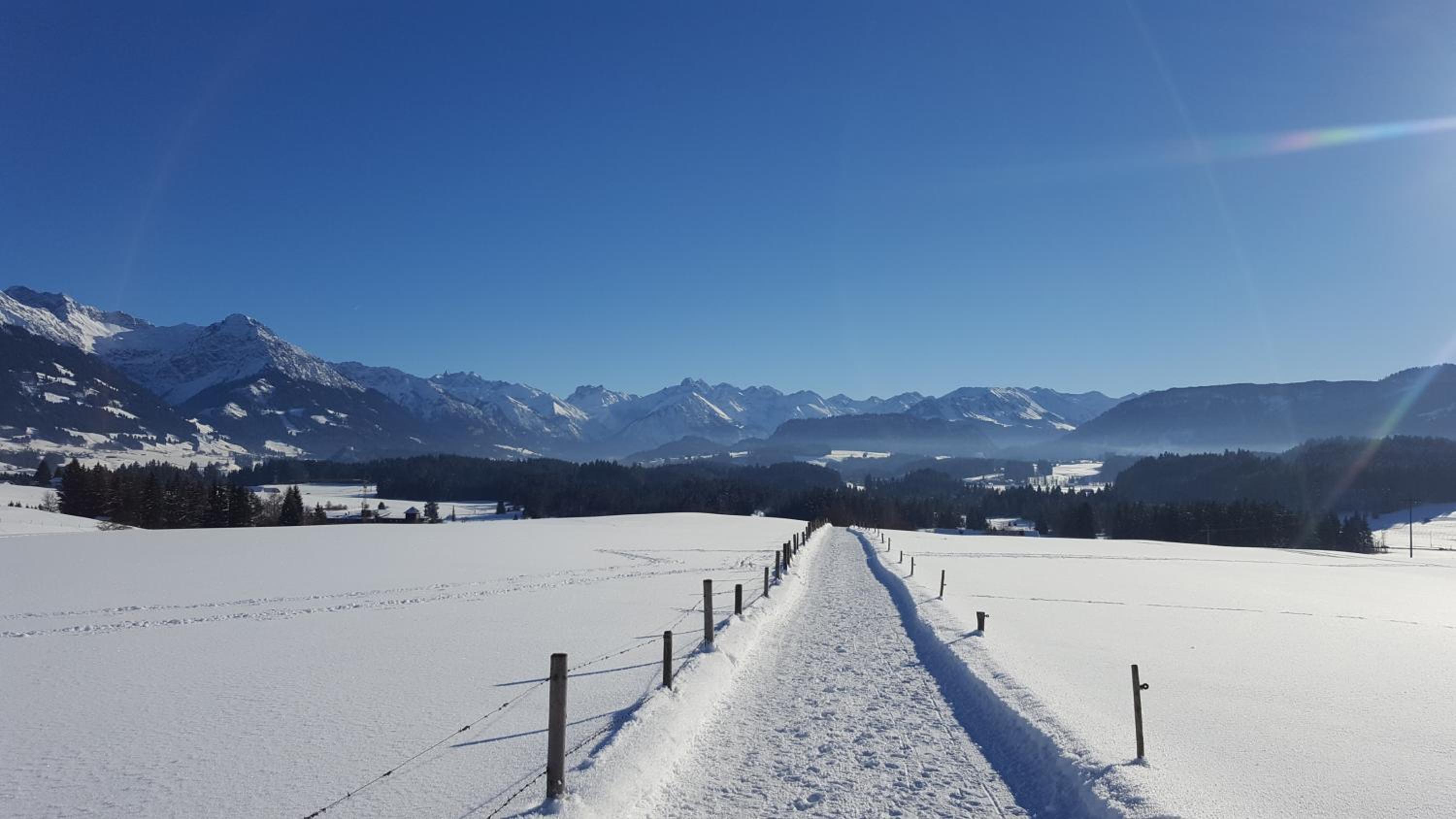 Ferienwohnung am Eichwald