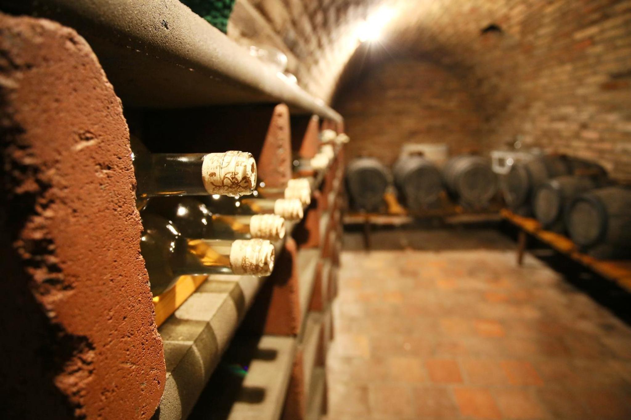 Penzion u Vinice