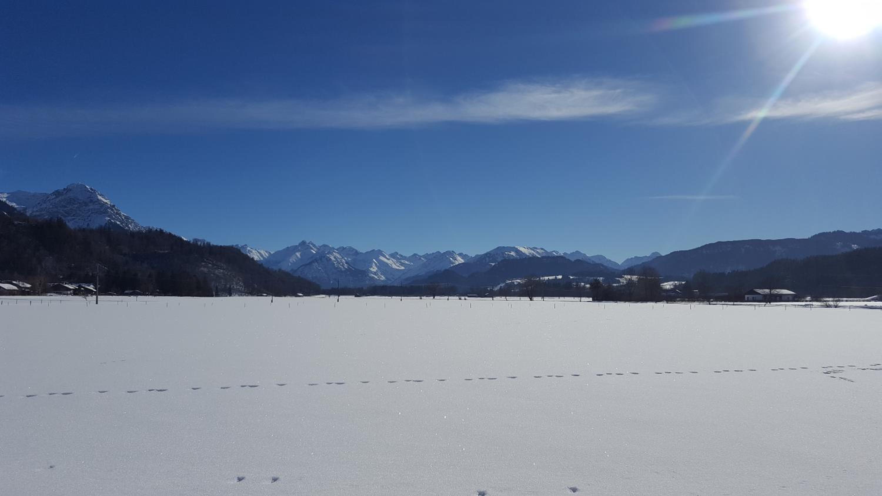 Ferienwohnung am Eichwald