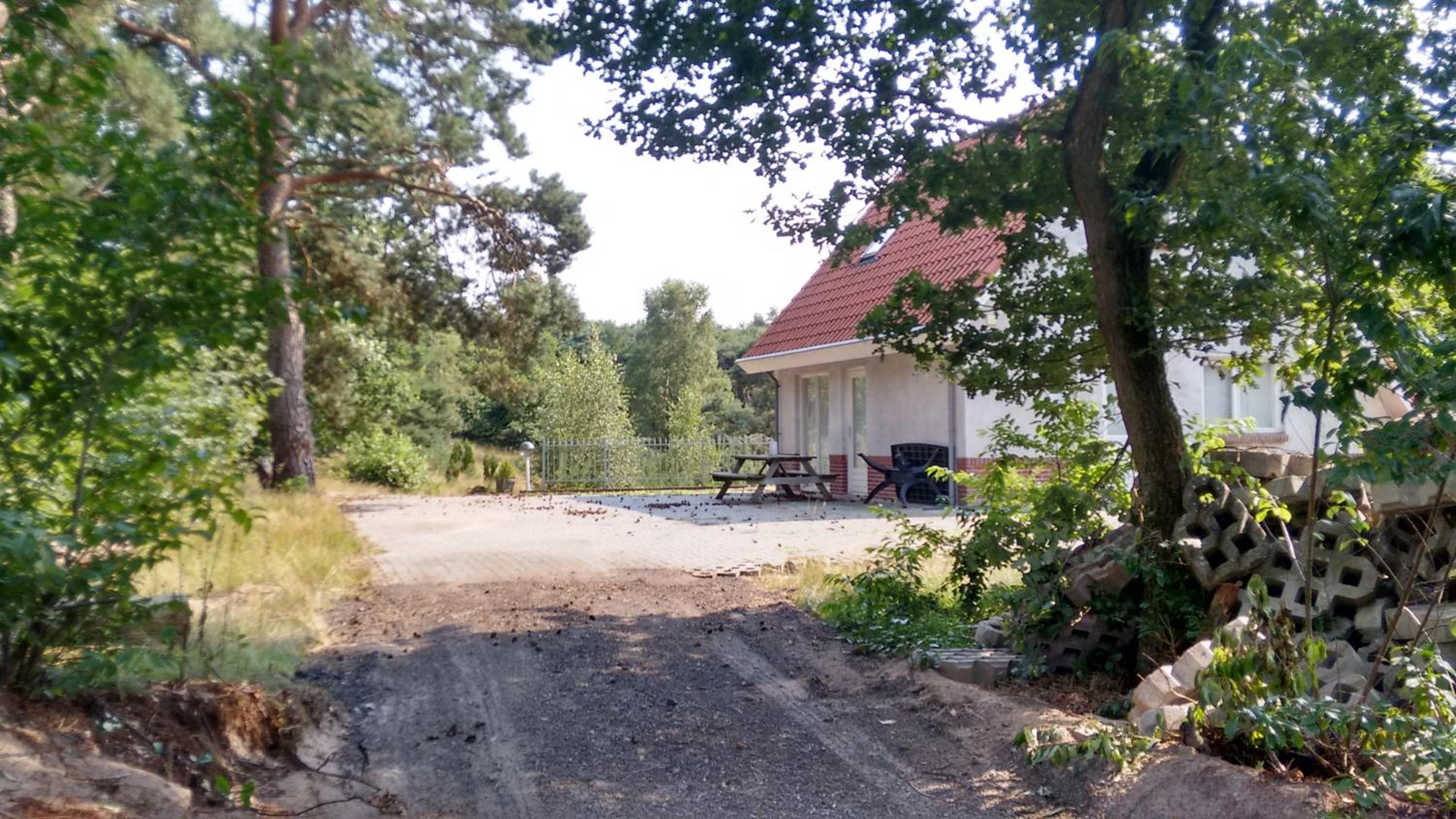 Het krekeltje