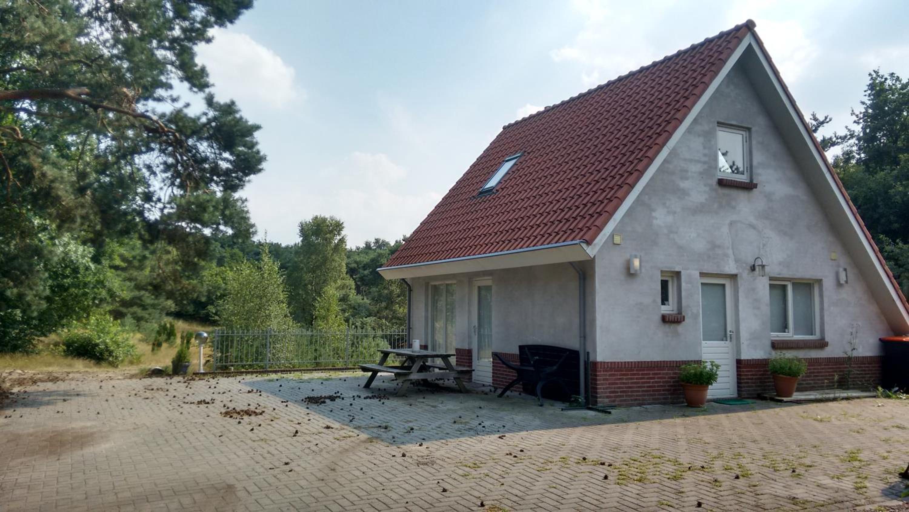 Het krekeltje