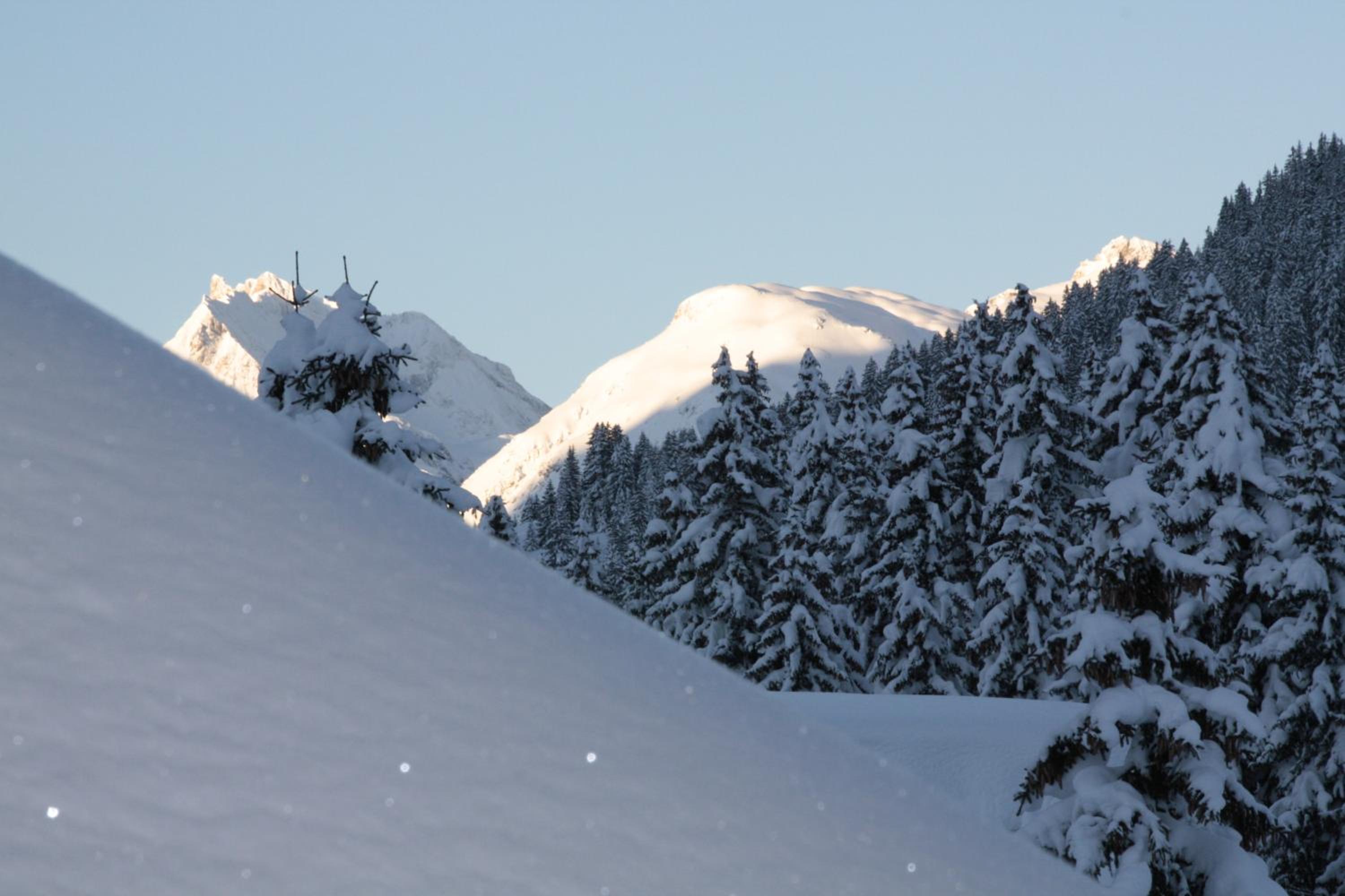 Photo 45